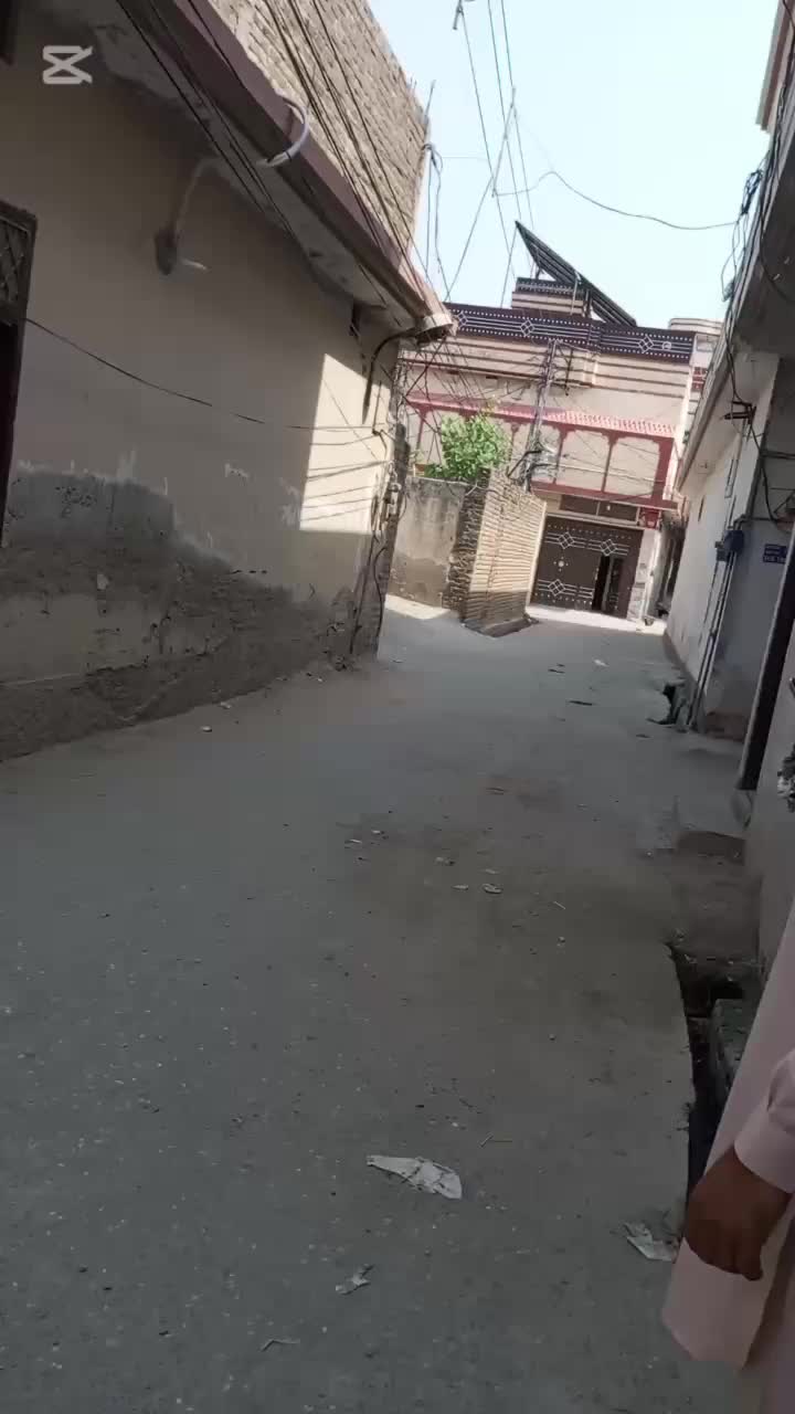 @ali property zone
