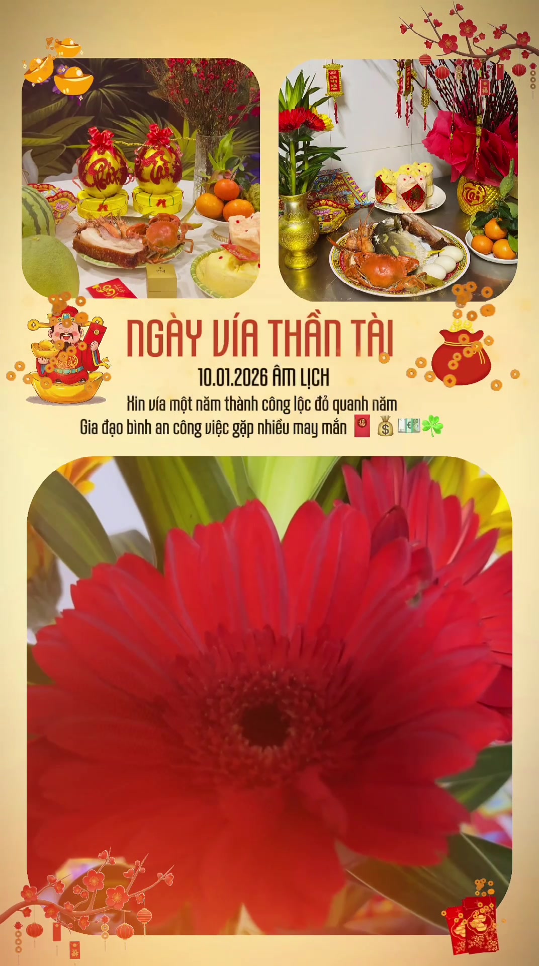 @&Ocirc;ng ch&uacute; U40