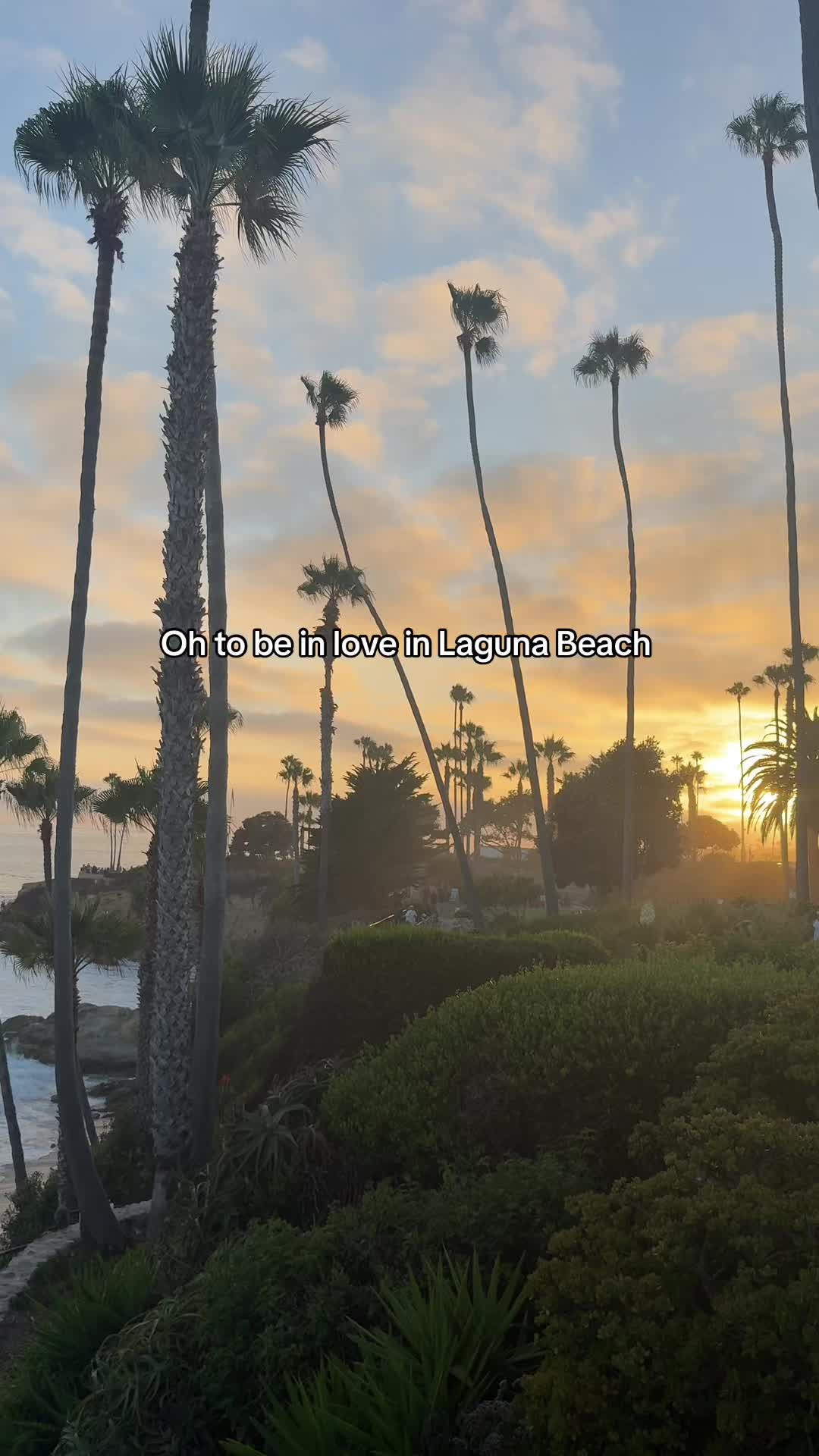 @🌺Travel Content🌴