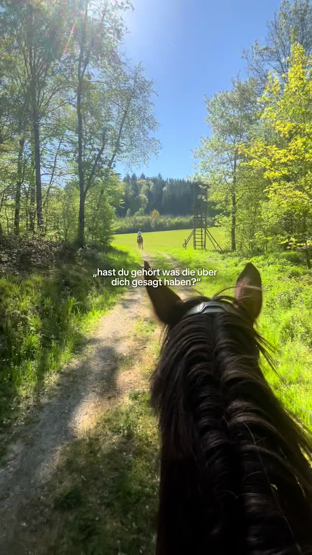 @paula ⭐️