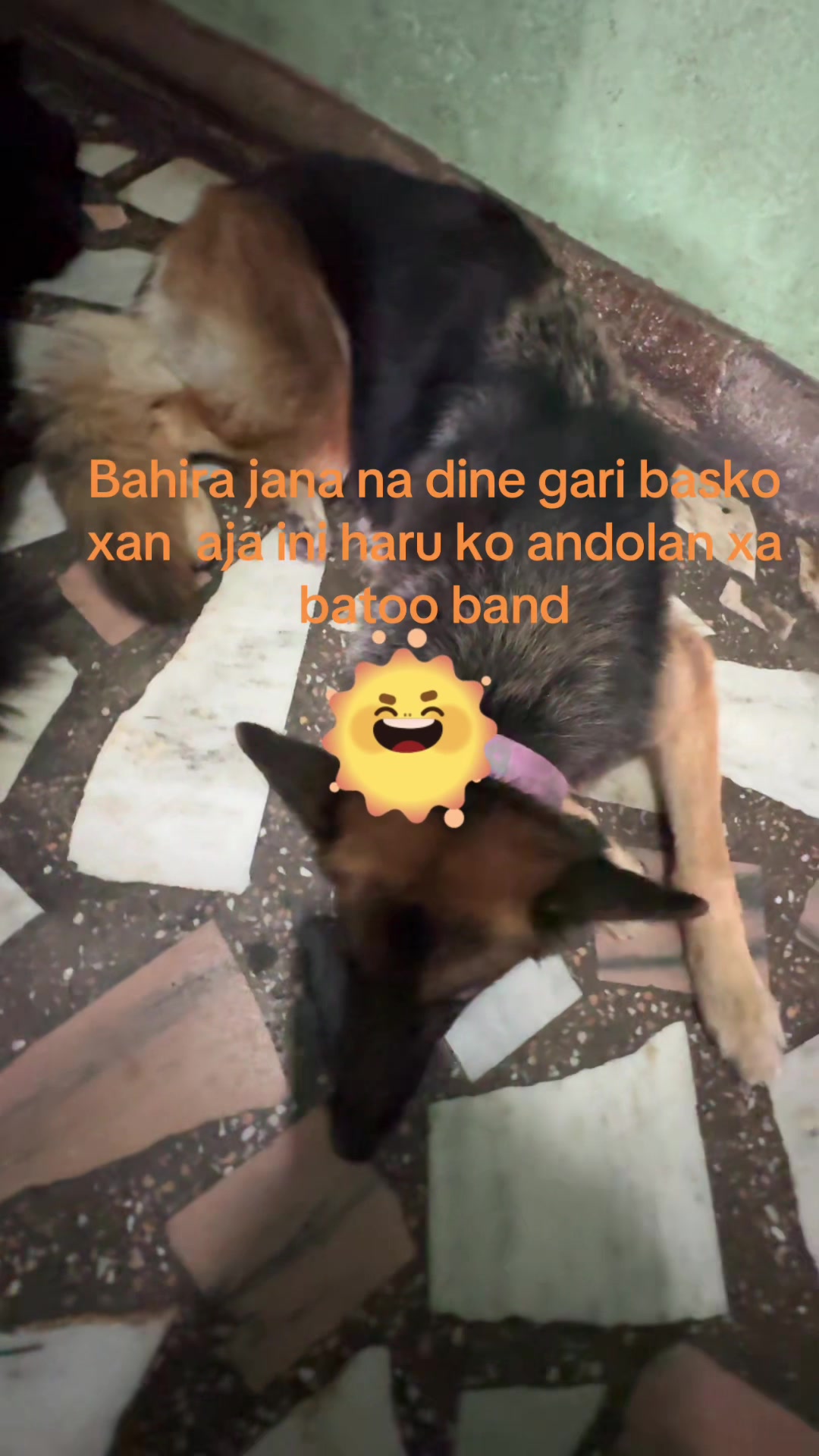 @Kusum Kamla bardewa ๐