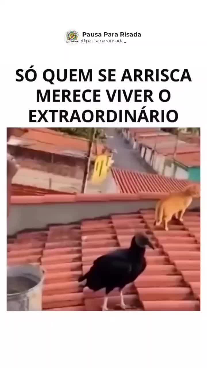 @Railda Oliveira