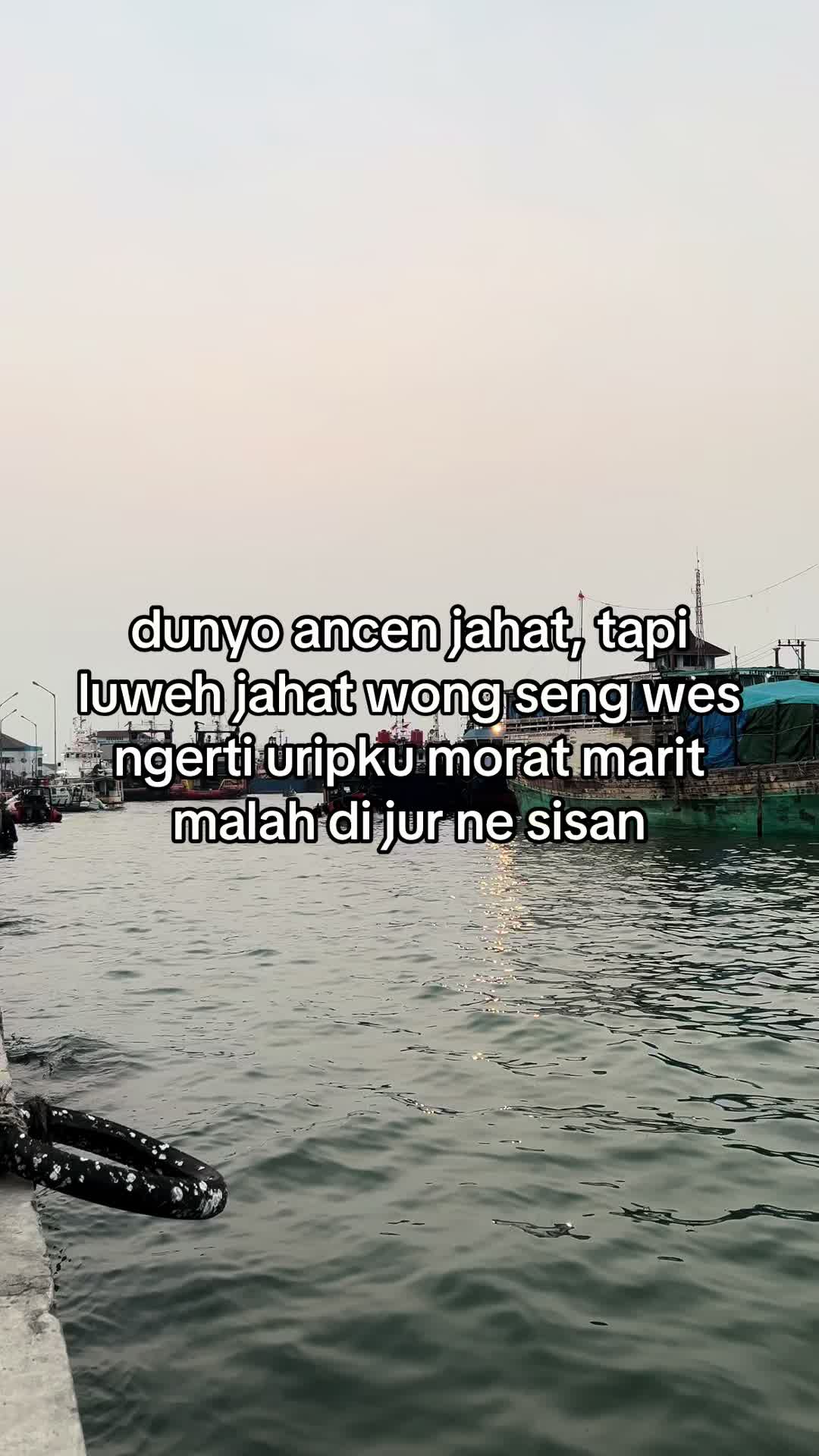 @๐ธ๐ซงโจ