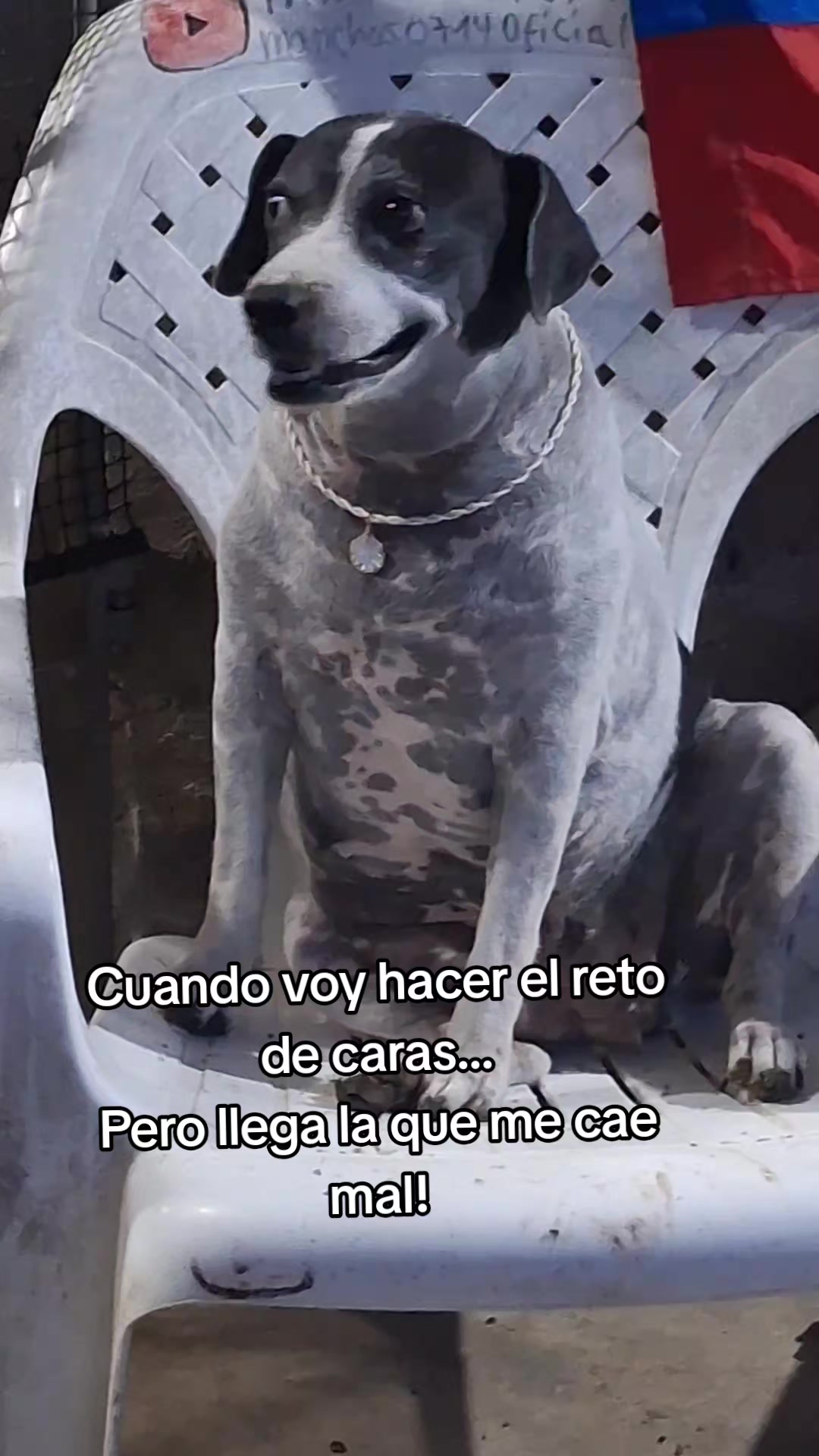 @MANCHAS 0714 OFICIAL