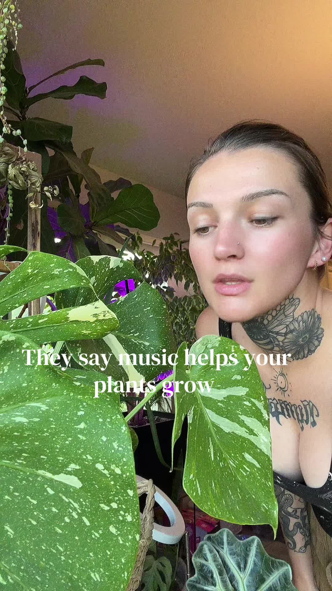 @Kitty M ๐
