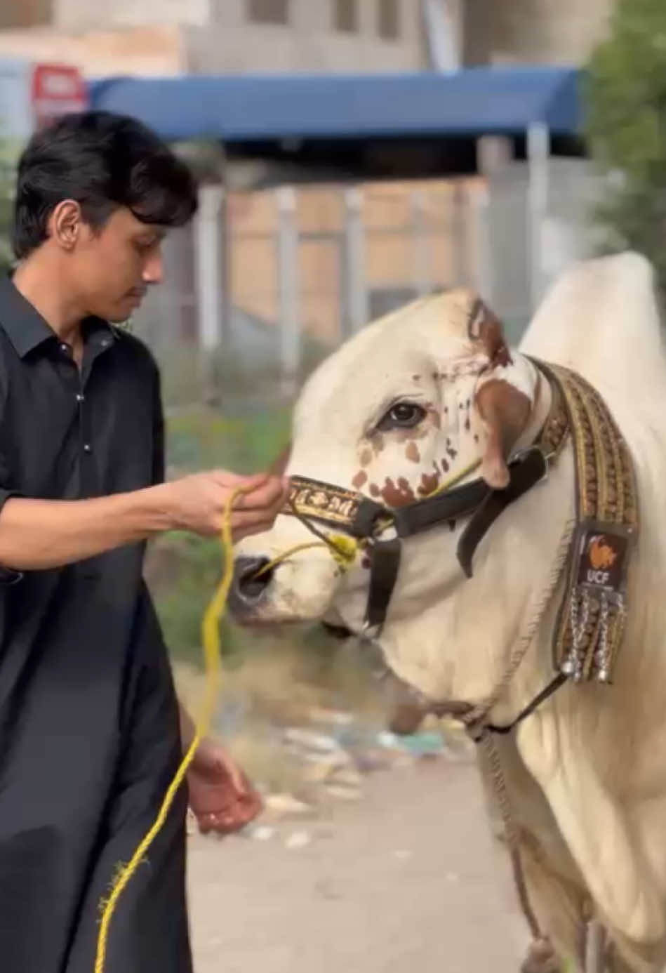 @Usama Khan