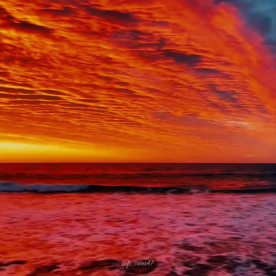 @lofi_Vibes