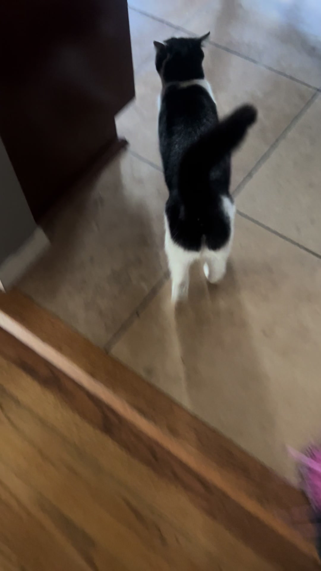 @️