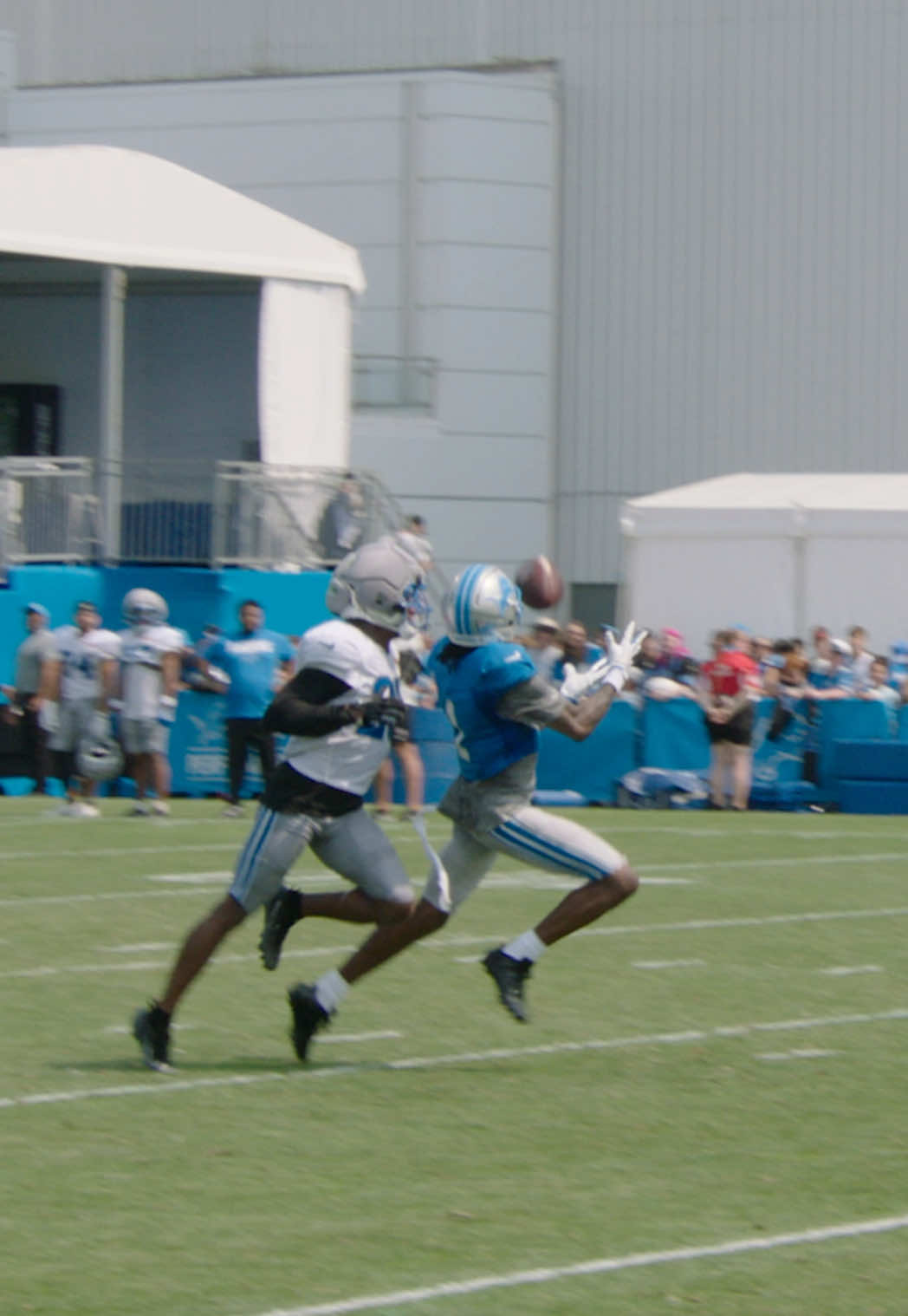 @Detroit Lions