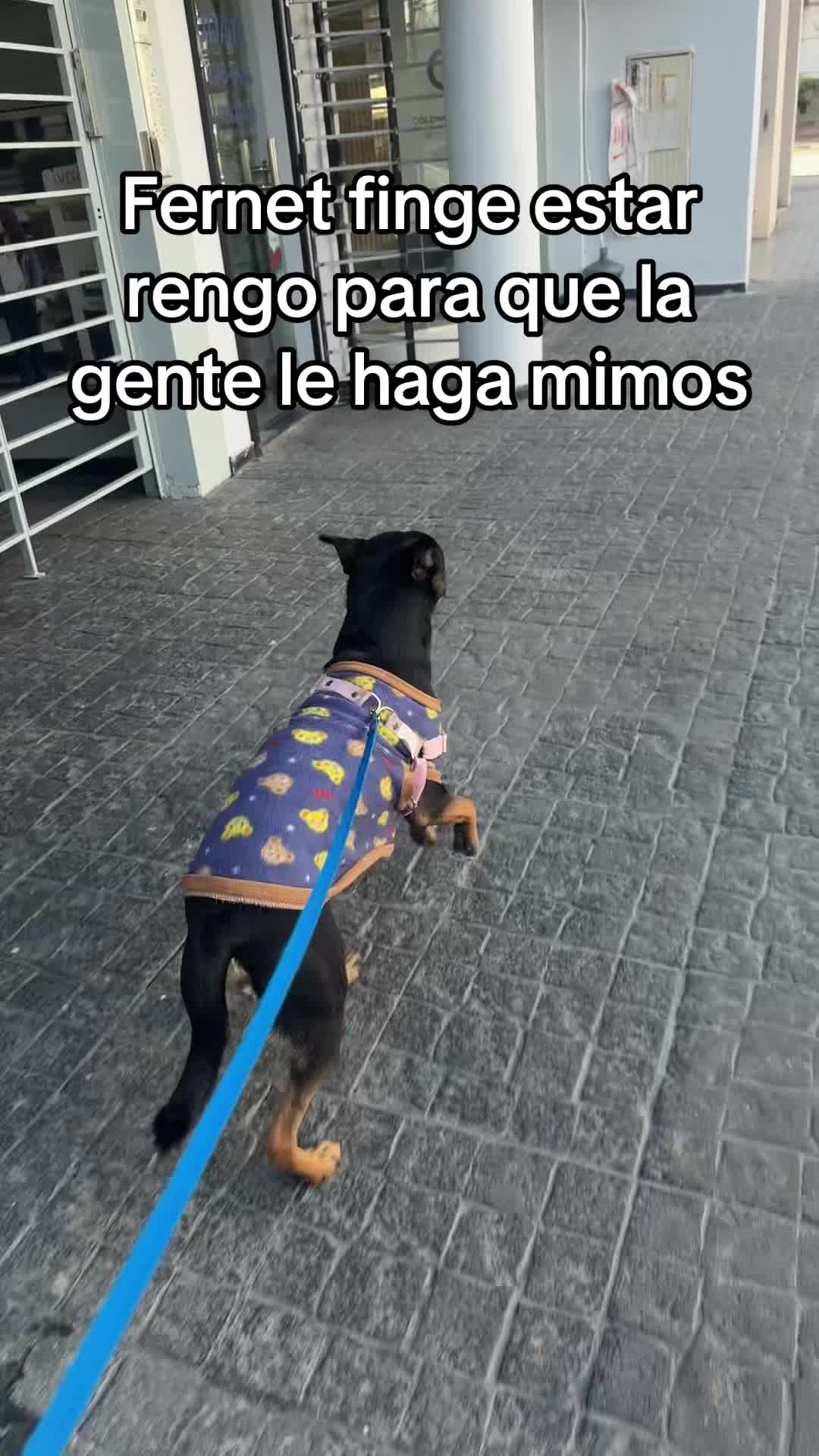 @Maisonrisitas
