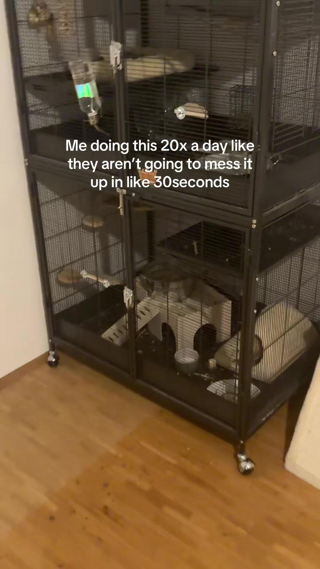 @BANDIT & STRIPE