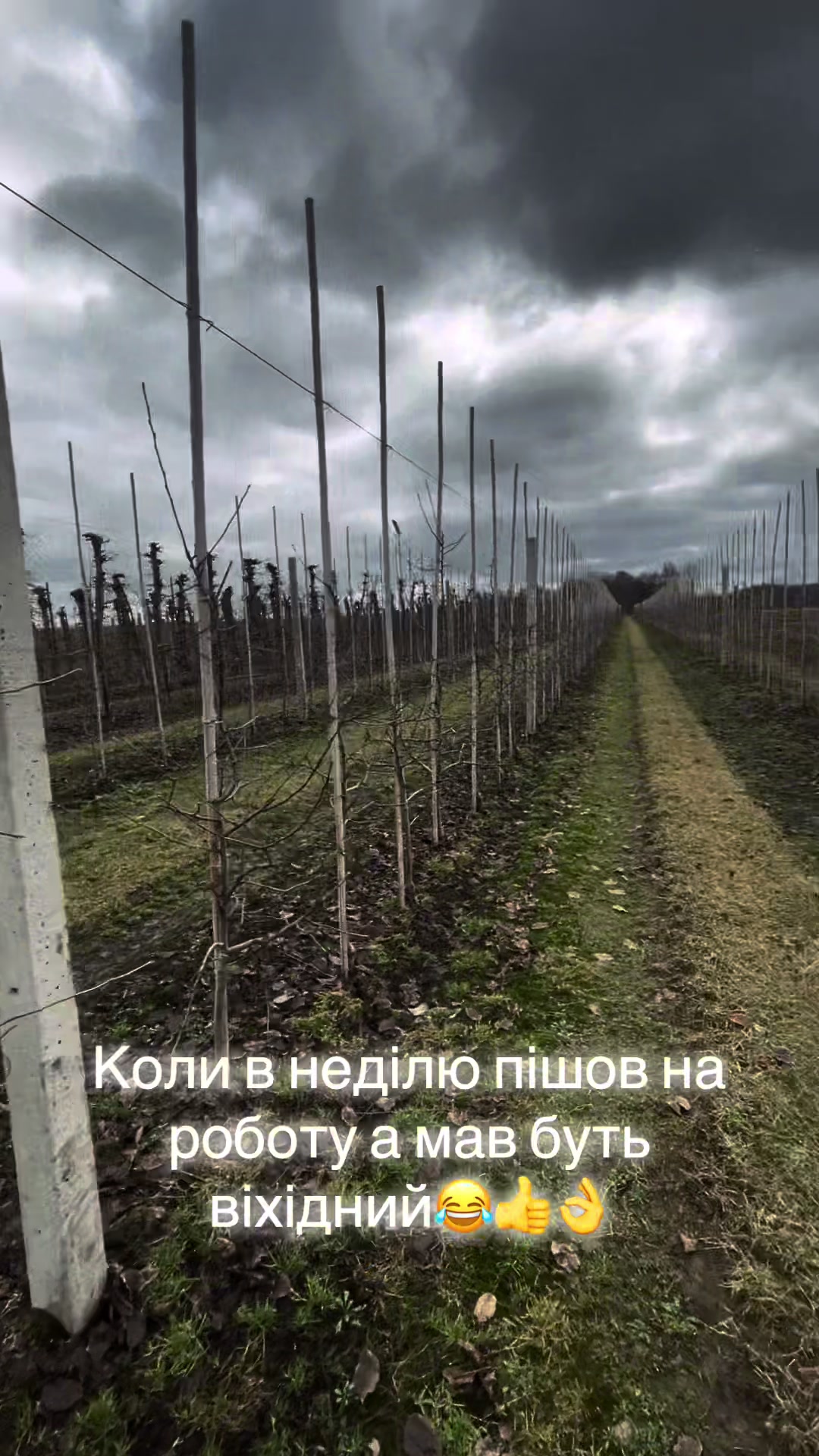 @vladik_538