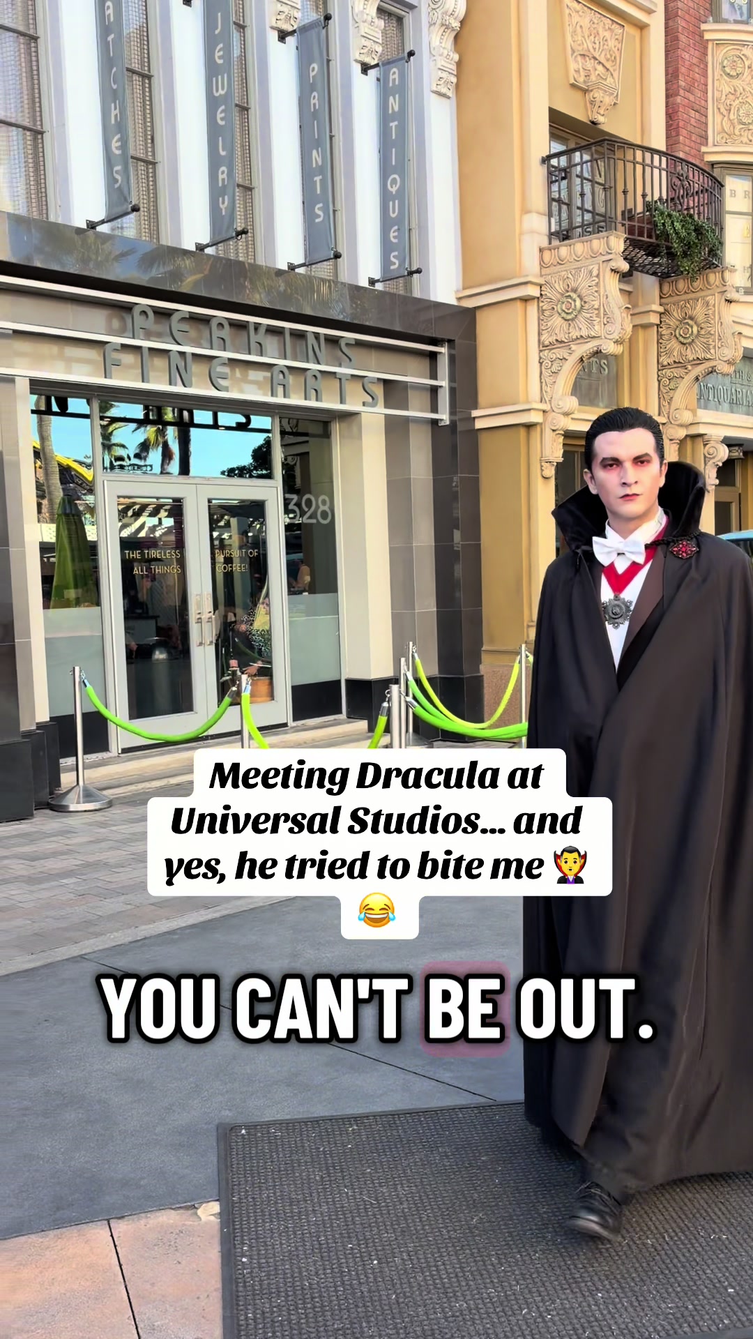 @tinarosethemeparklife