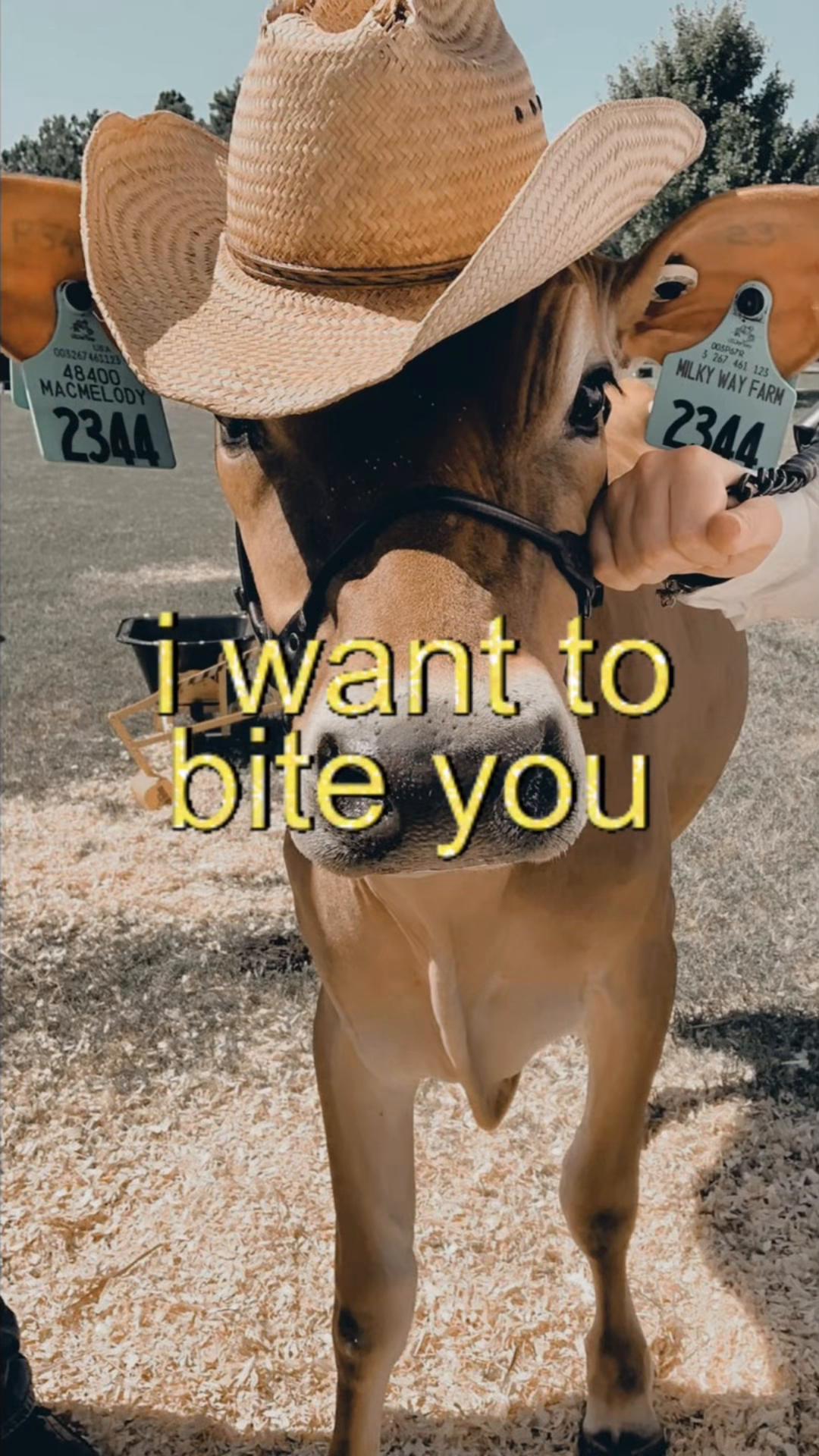 @howdylovecore