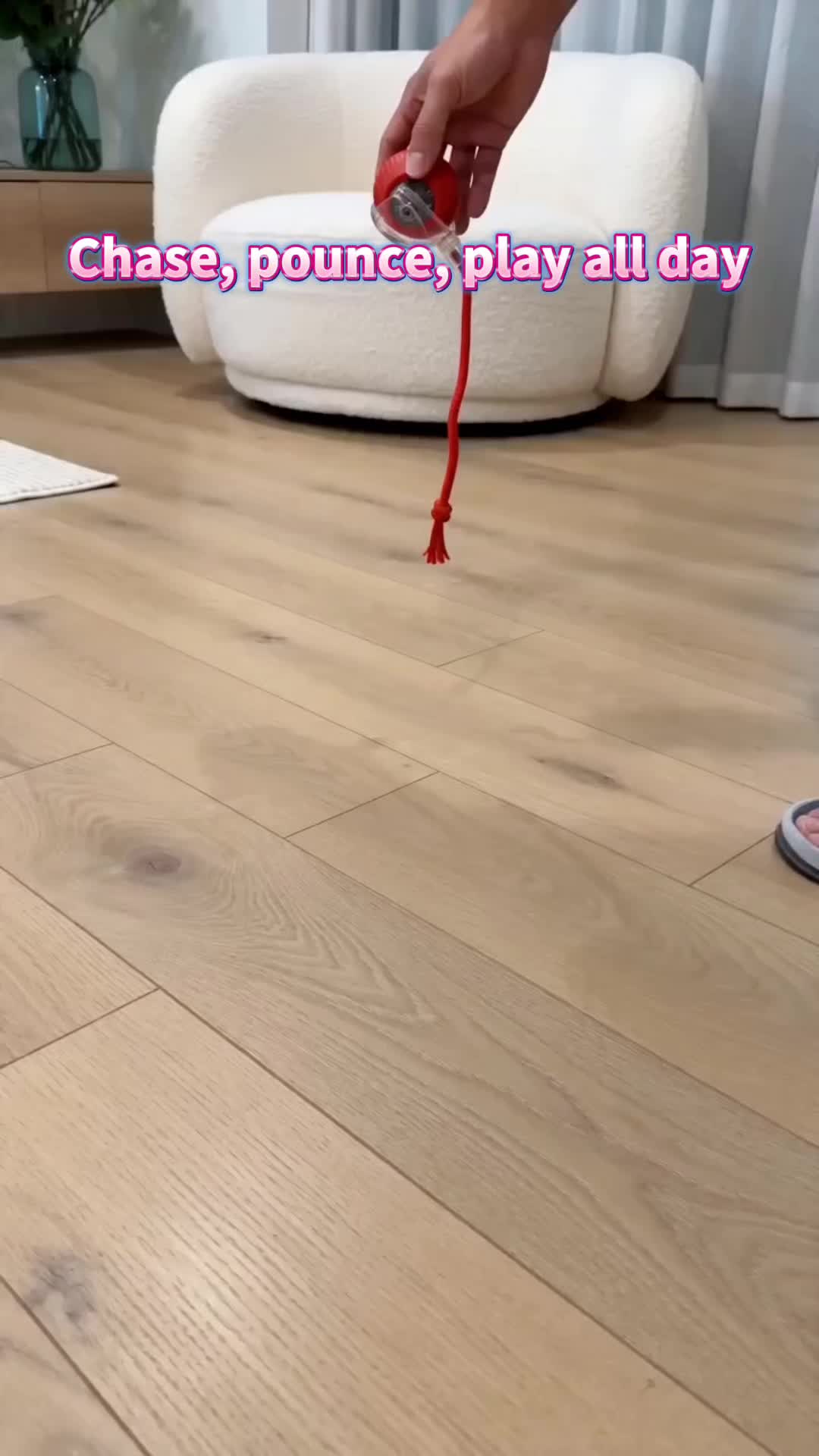 @Funny Ai