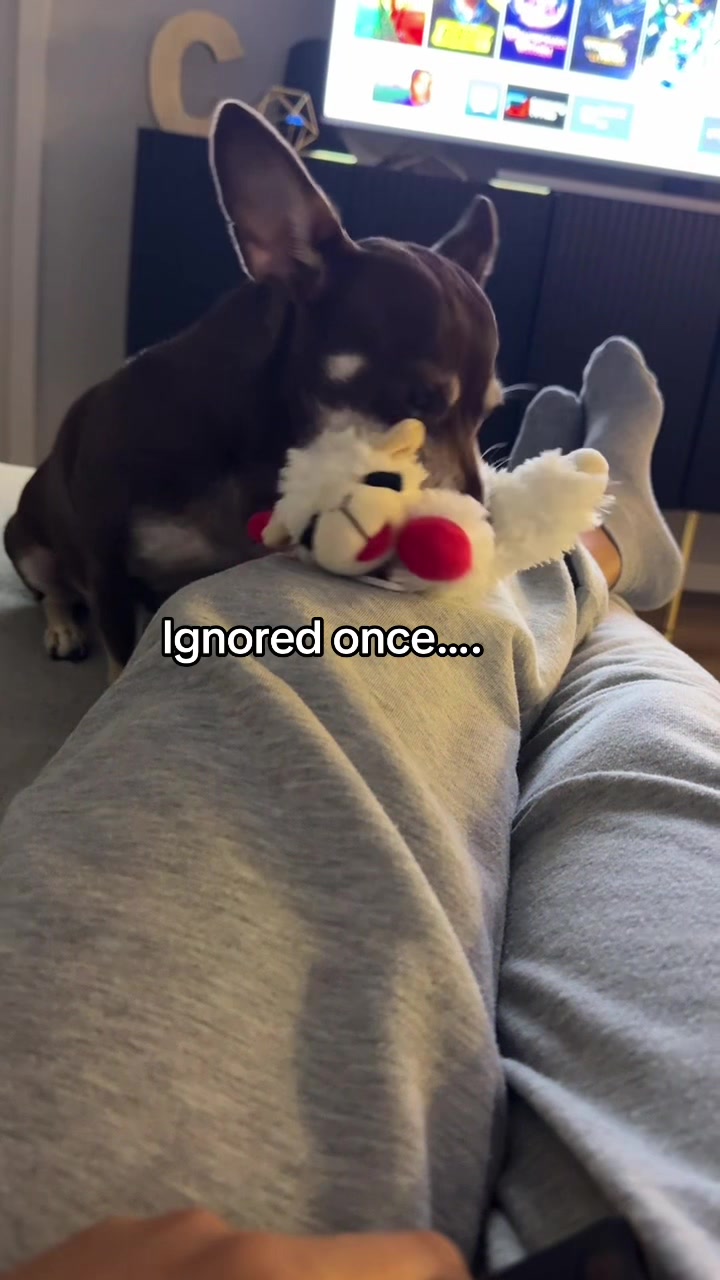 @Bruno28