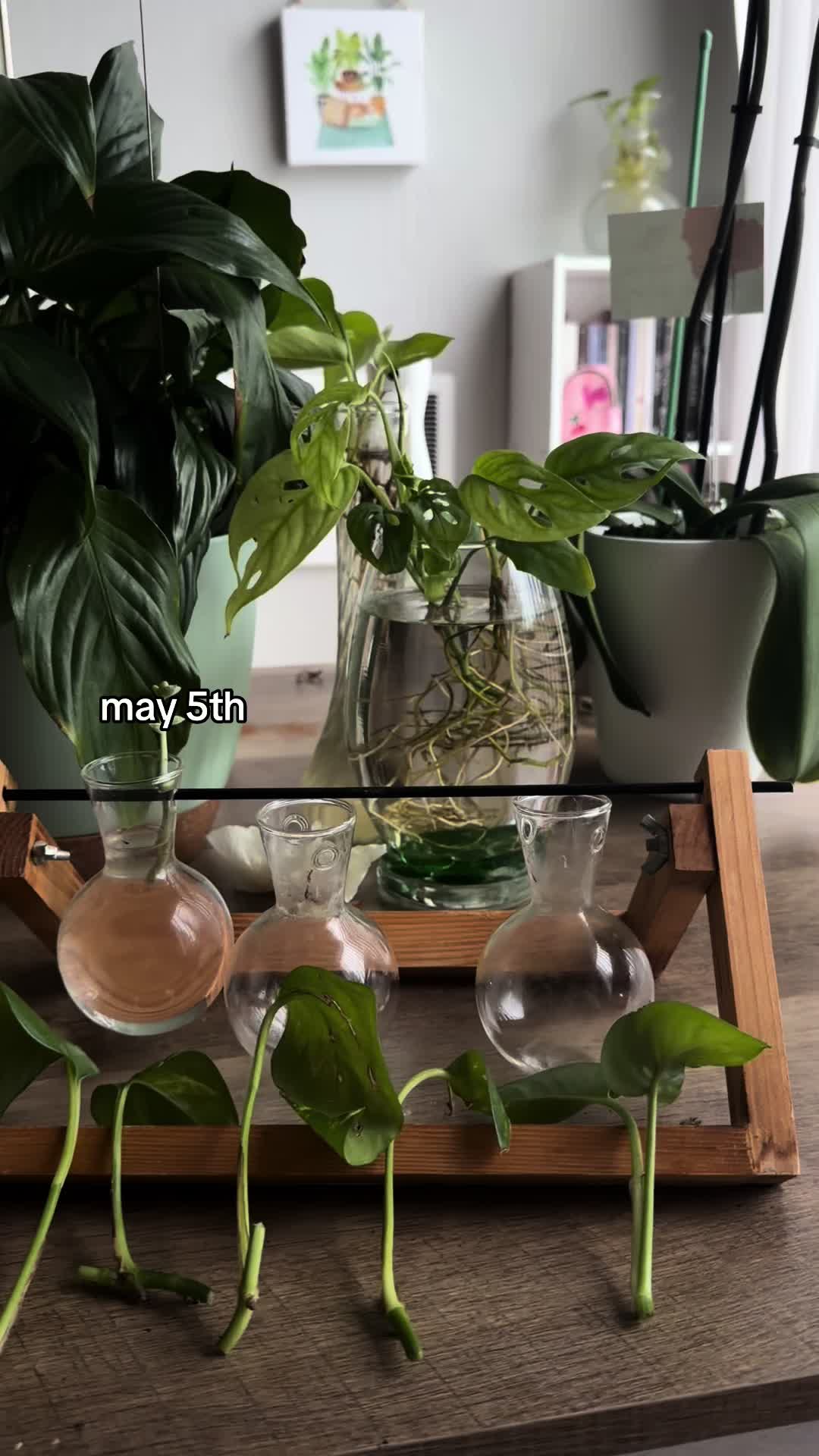 @Selena 👩🏽&zwj;🍳🌞💖