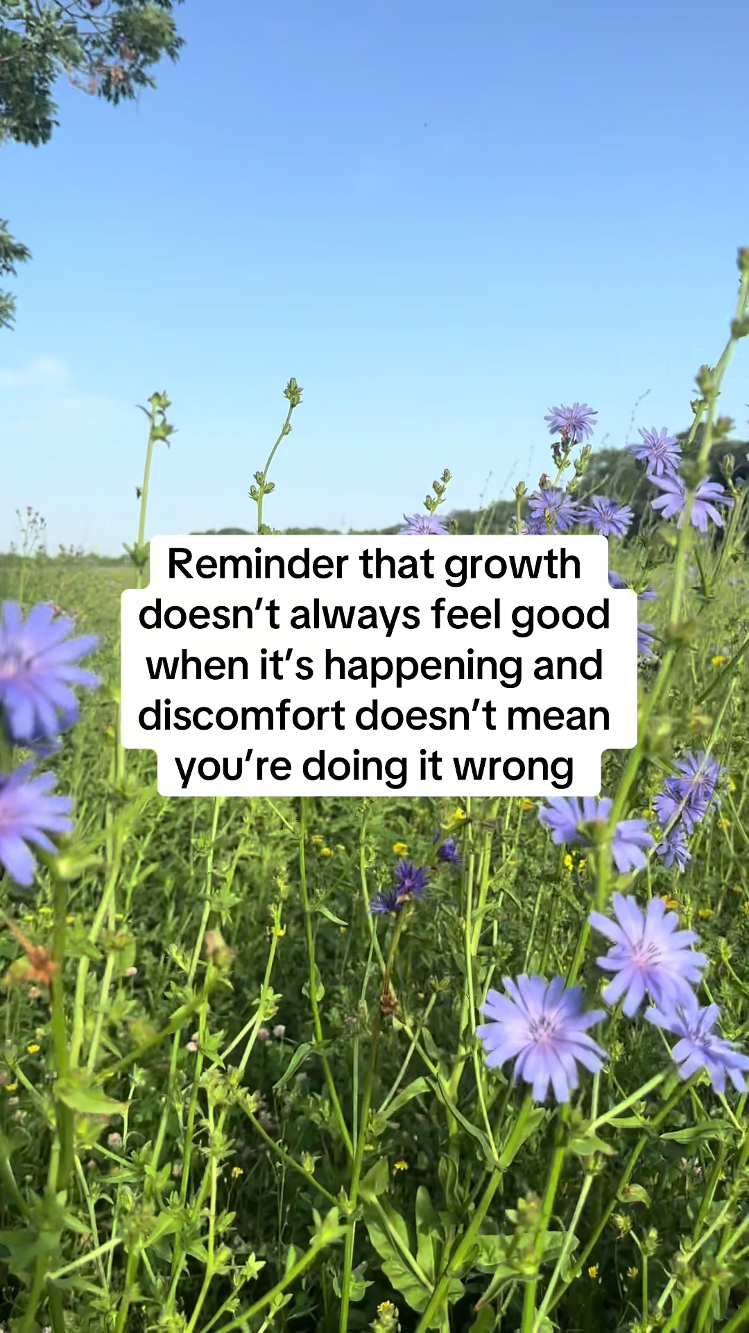 @Grow Therapy