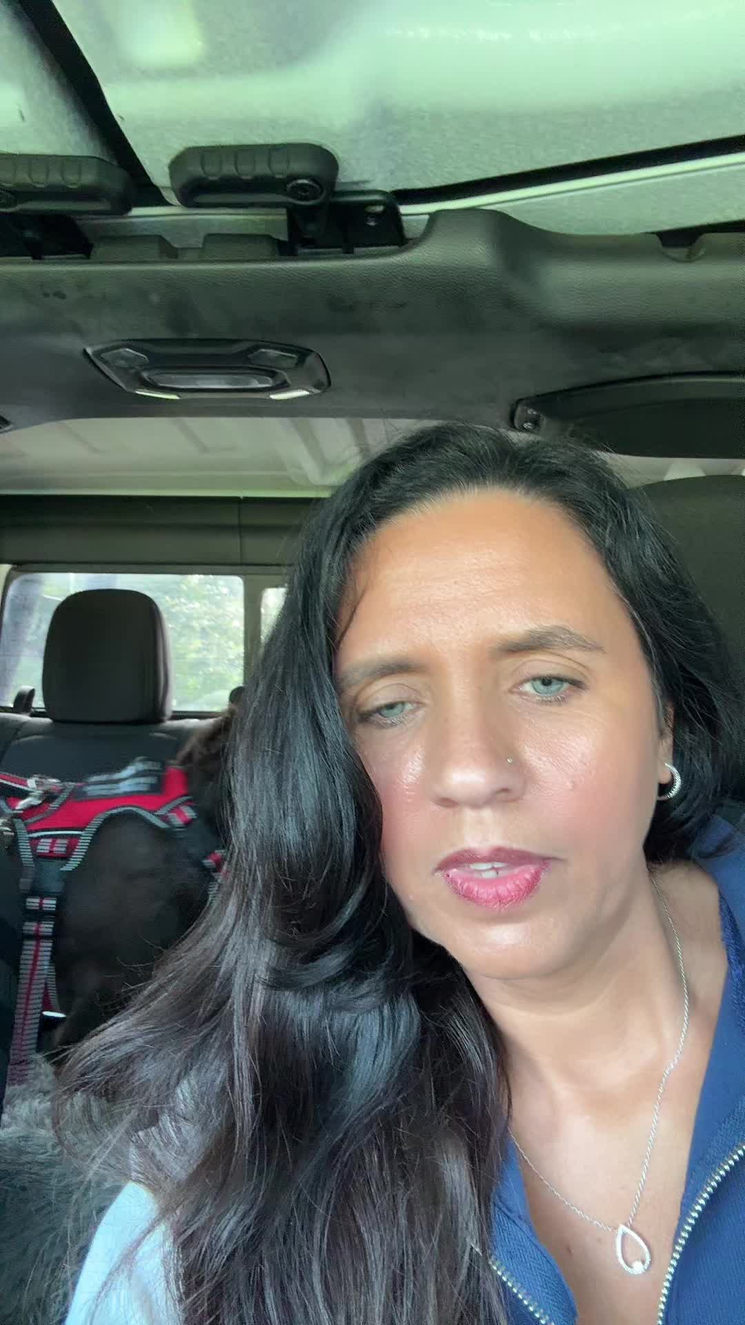 @nevagibson