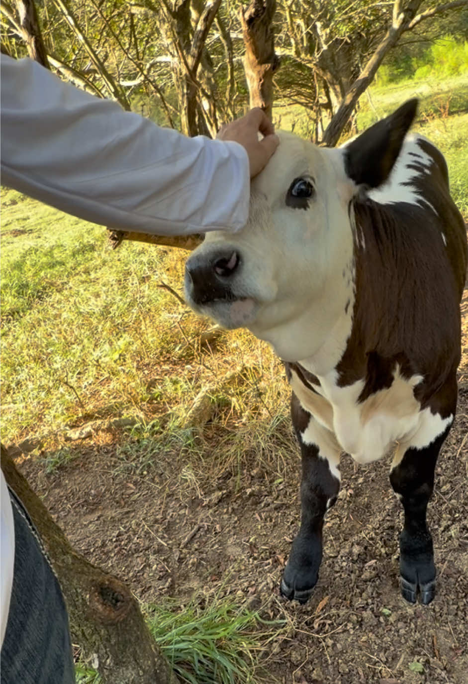 @Georgia Farm Girl