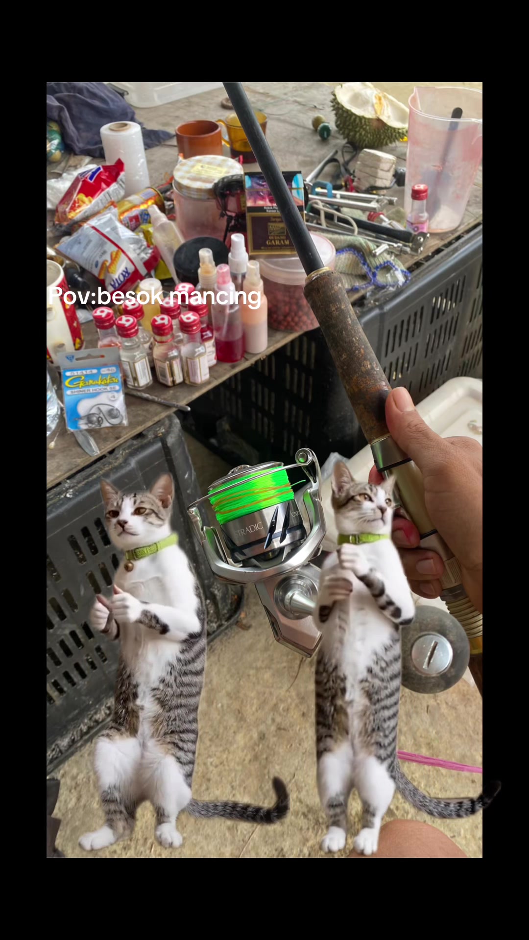 @PakaiNasi🍚