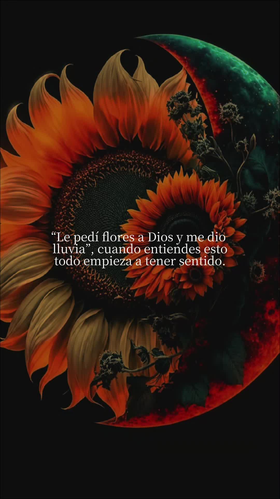 @Maribel 🌻