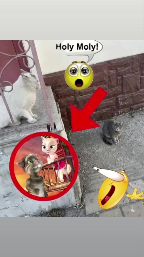 @ра цва айн