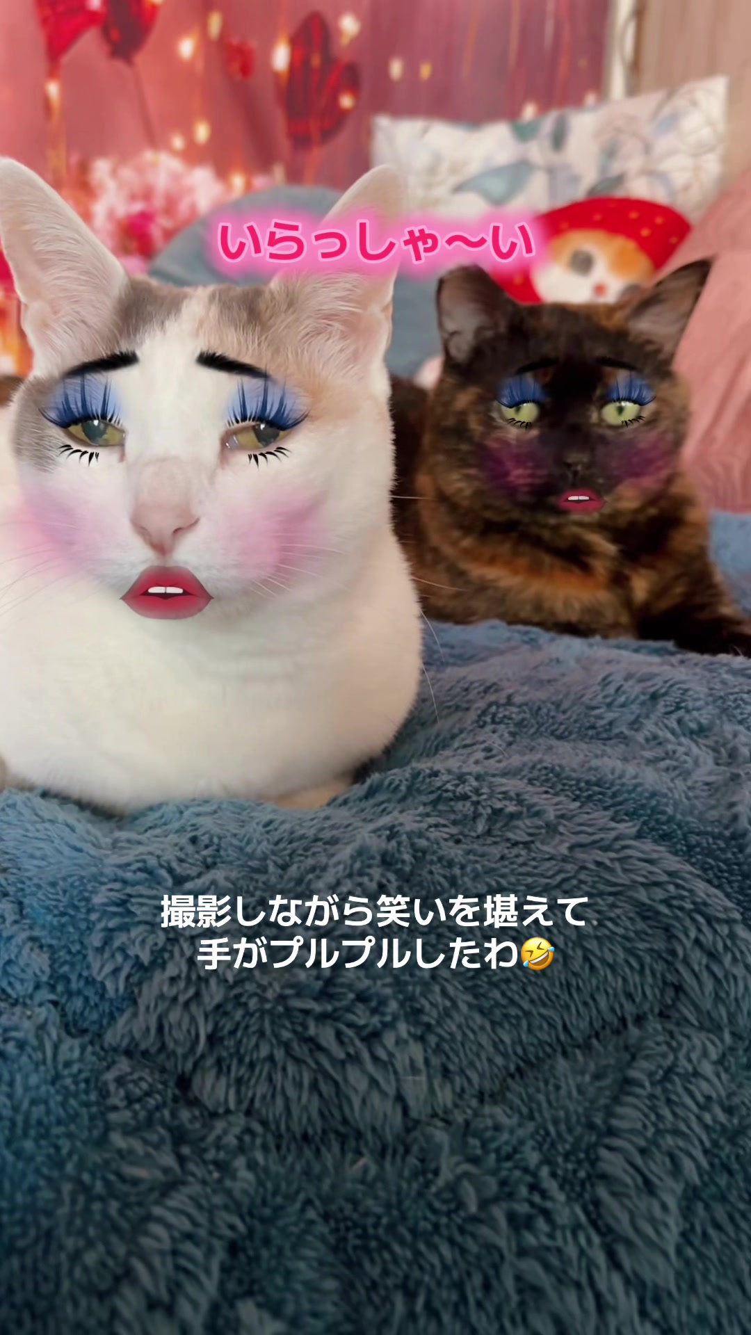 @👑ミキティ👑🙀🍜🙀🌿