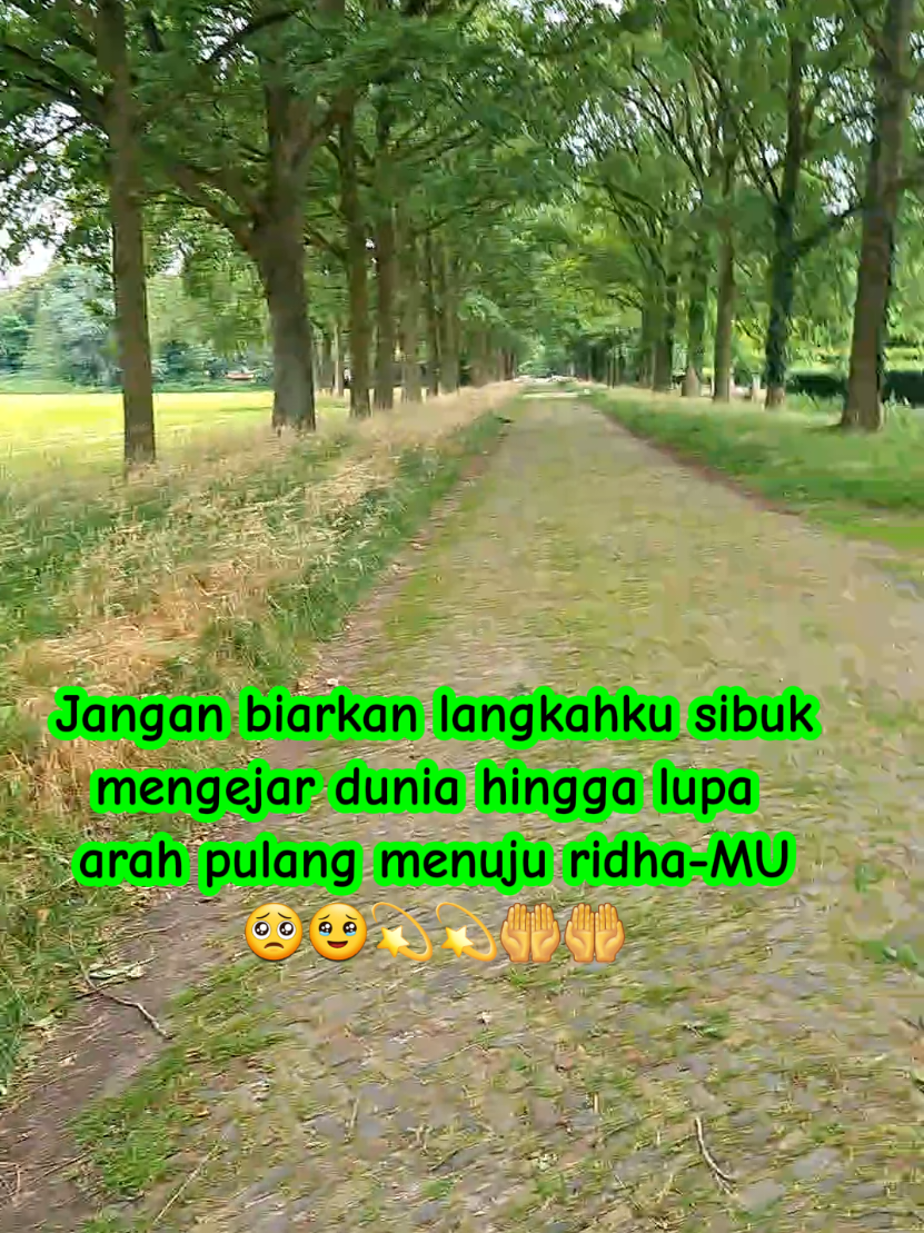 @❤️ ELBe Life's🇳🇱🥰🇮🇩