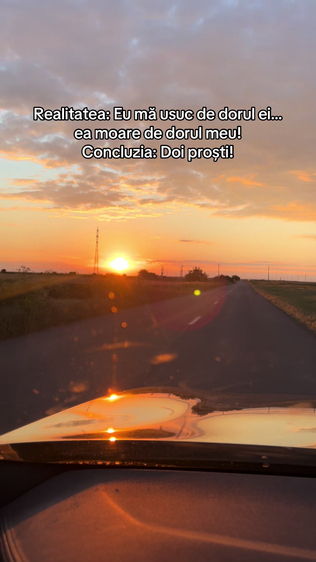 @nicuiorga949