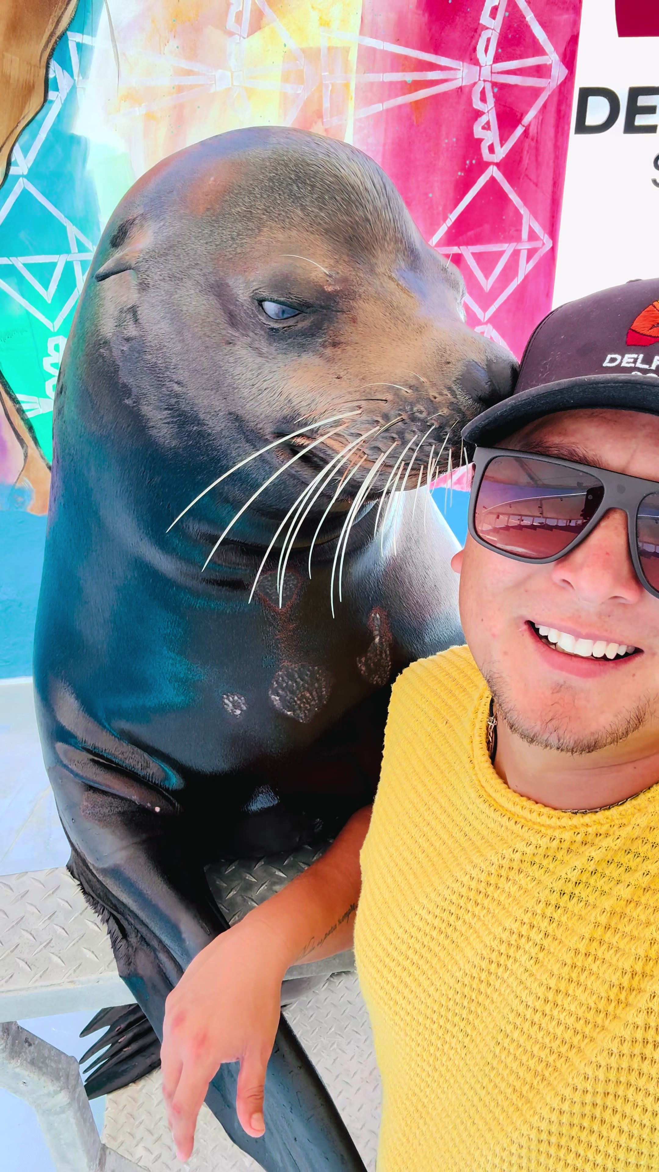 @Juan Anaya Trainer 🐬🦭