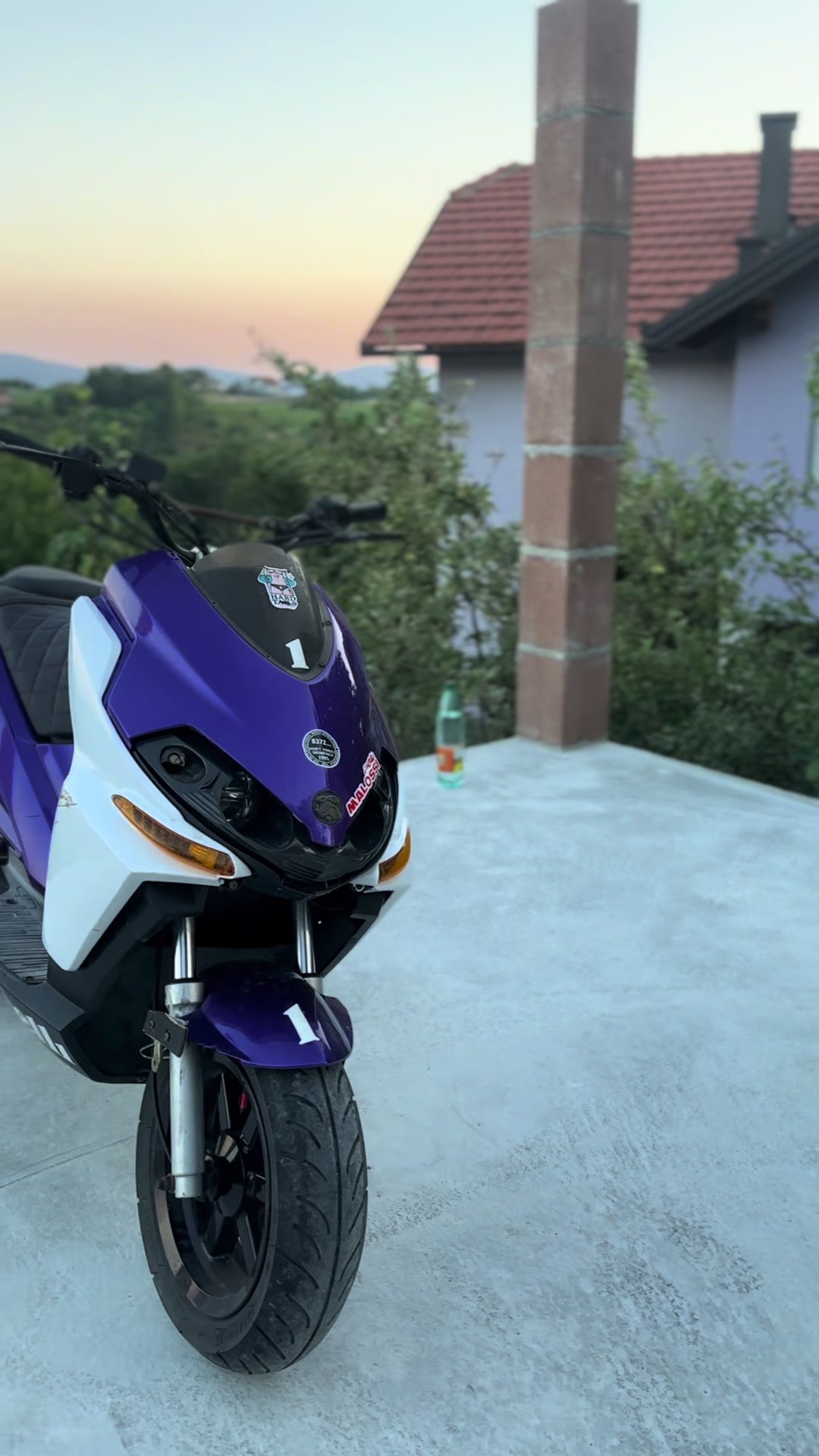 @Neso🇧🇷🤙