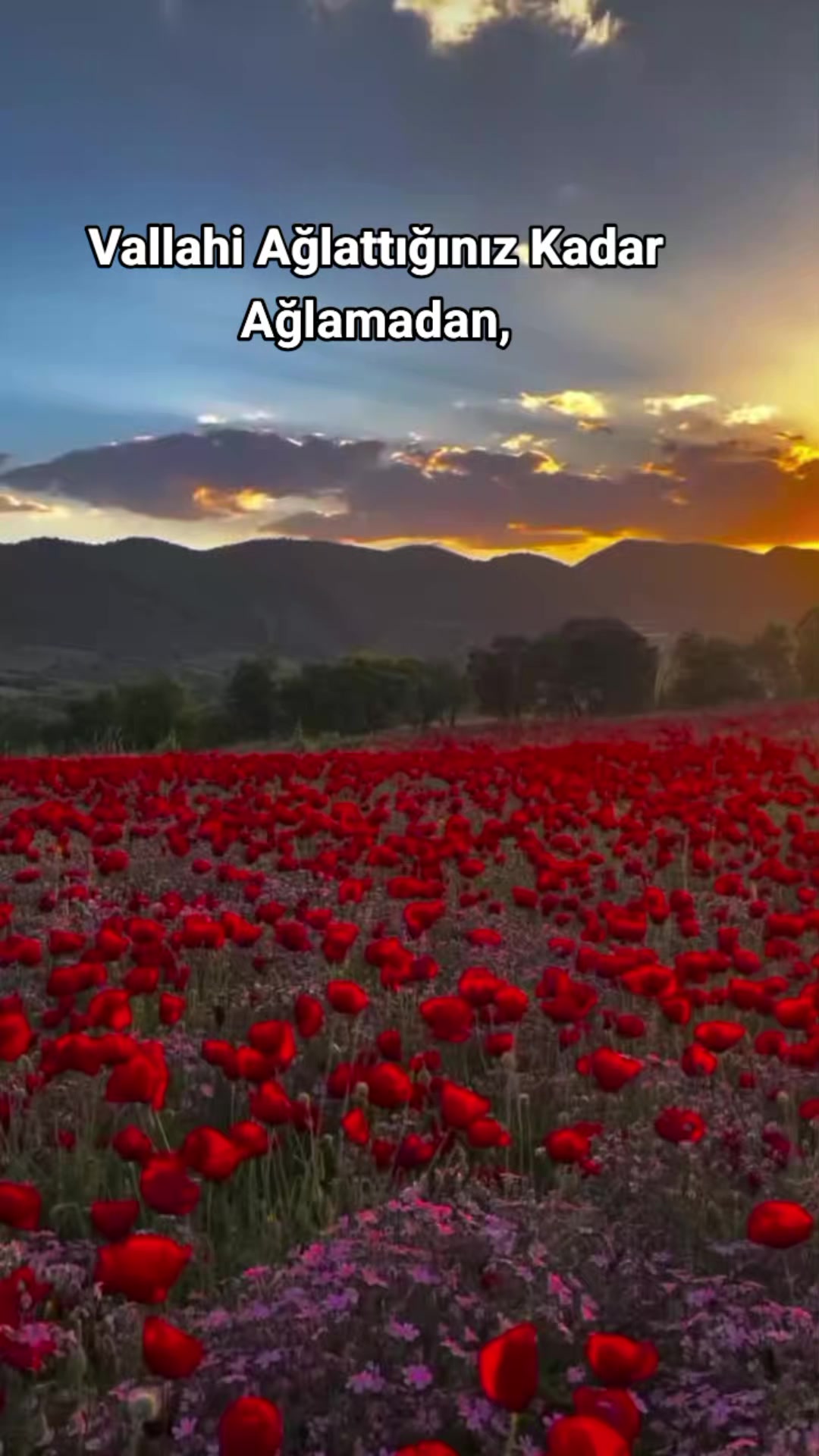 @Kur'an_ayet_hadis_ve_duâ