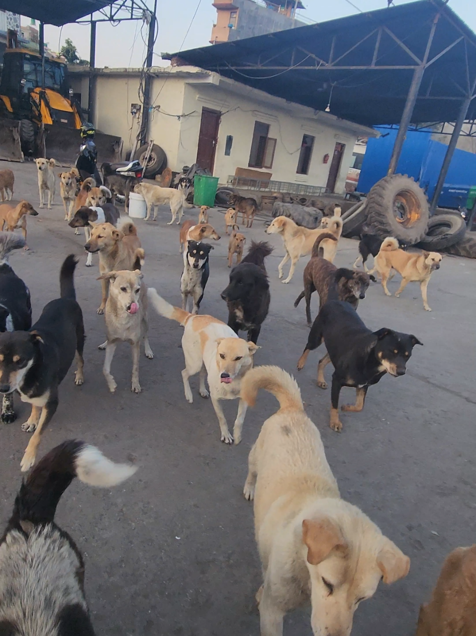 @Kathmandu Locals