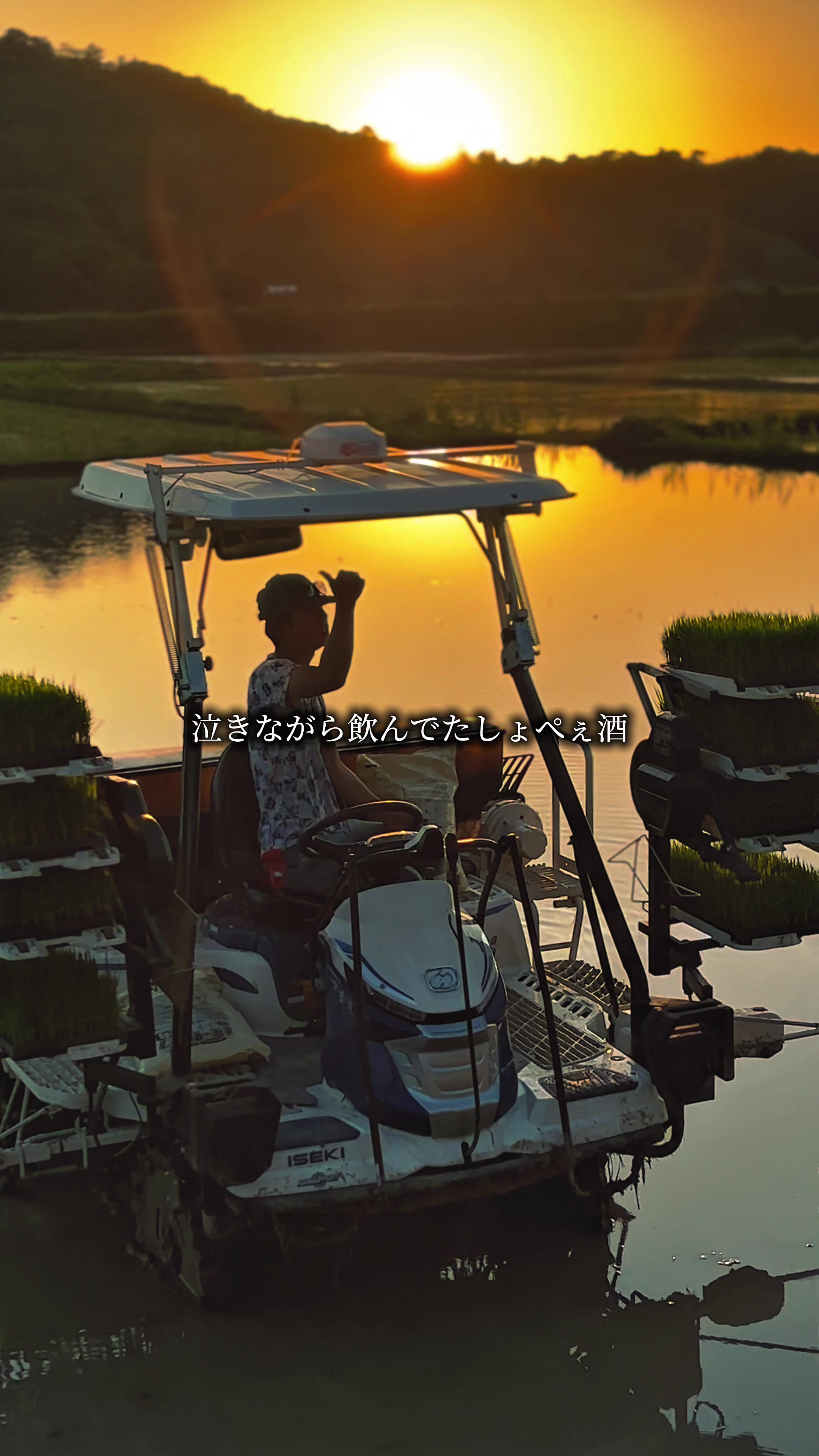 @Paddy Boy やーまん 🌾🫶