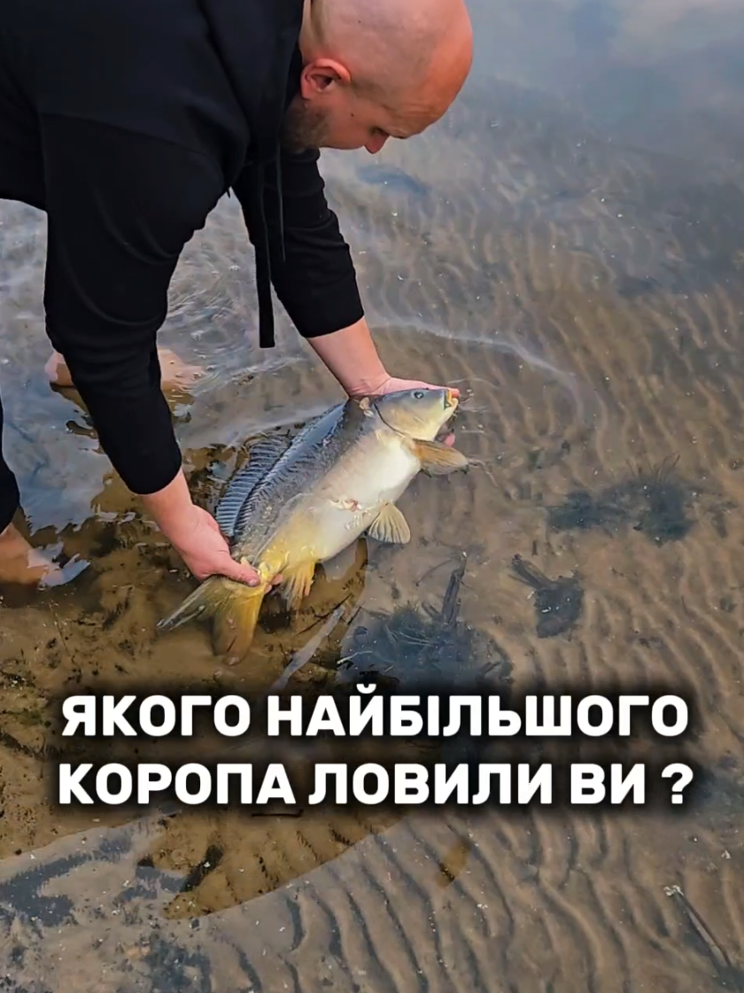 @Travelino