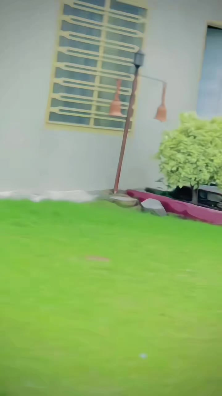 @Maya Bhai king