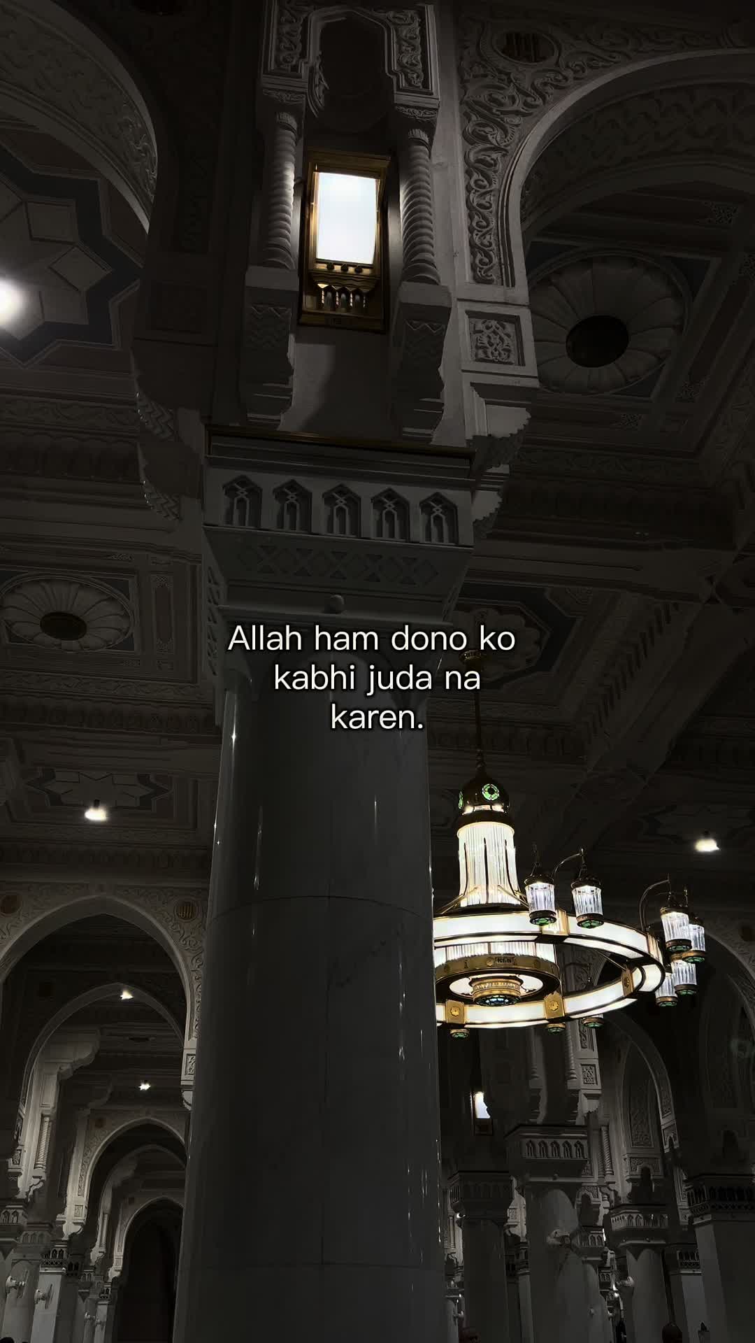 @Mir Albaloushi 🕊️