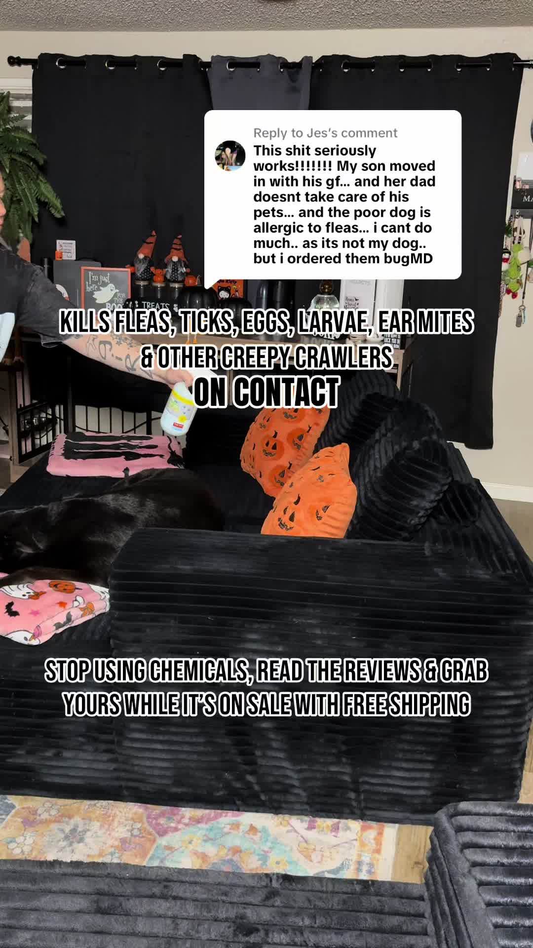 @kai•thedogmother🐾