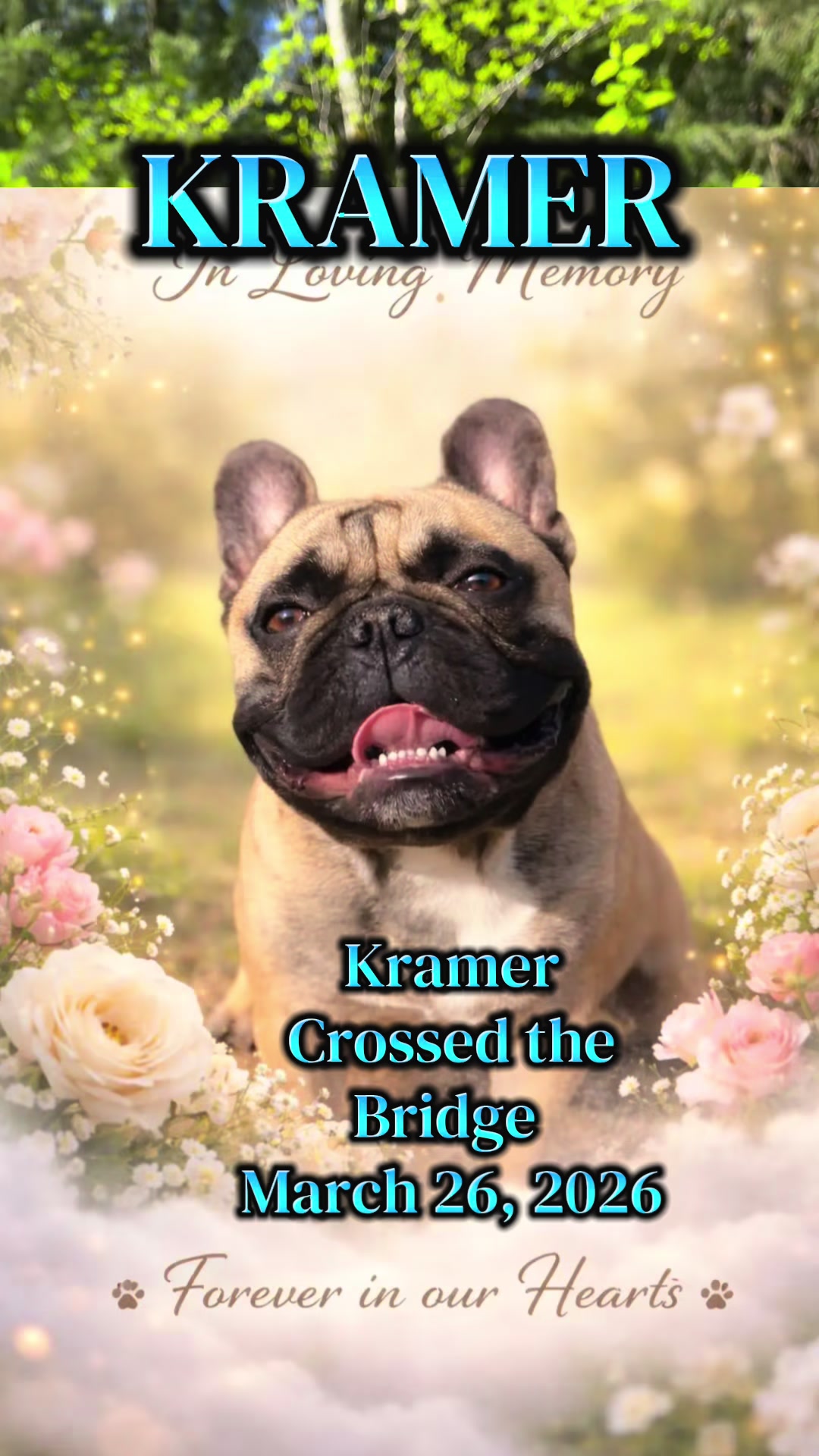 @OurRainbowBridgePets