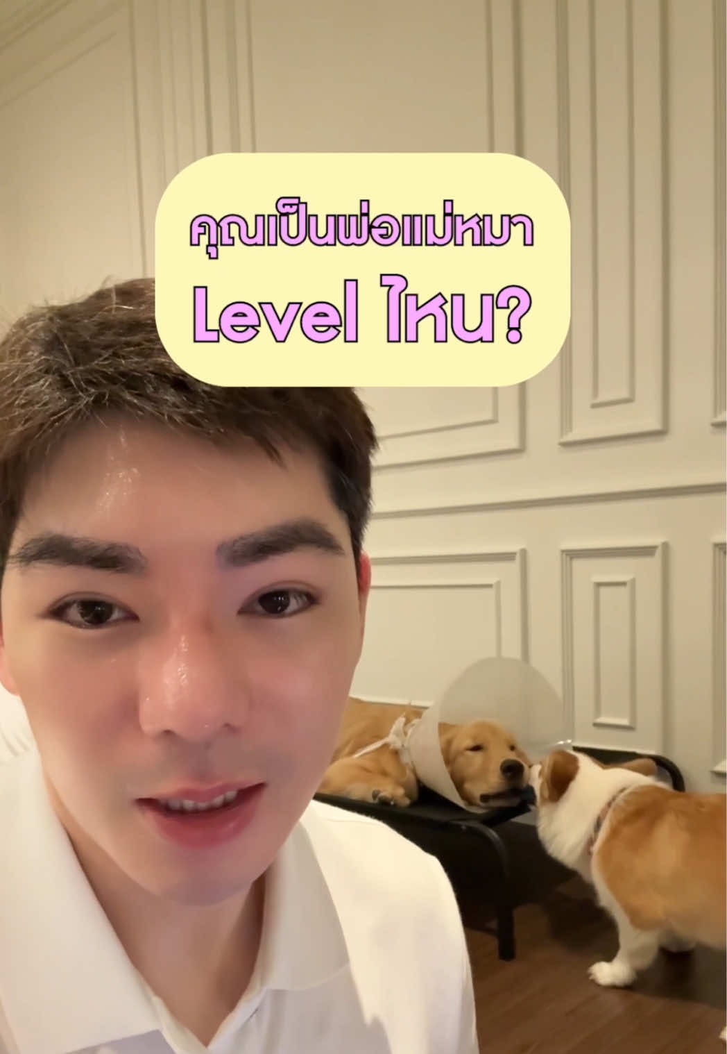 @พี่กลางหอสมุดแห่งชาติ