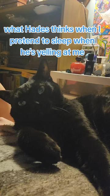 @Kat