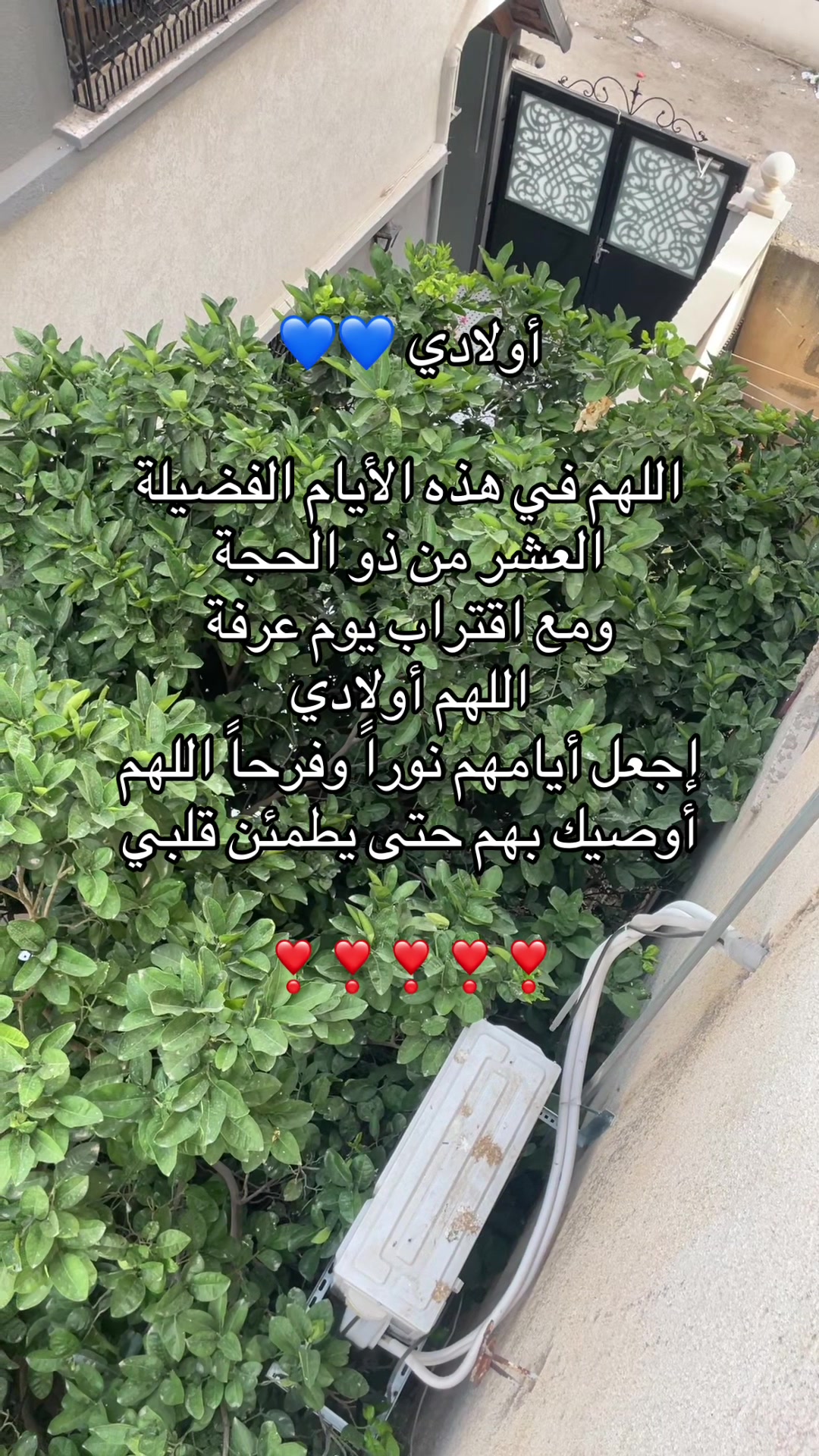 @Eman ahmad