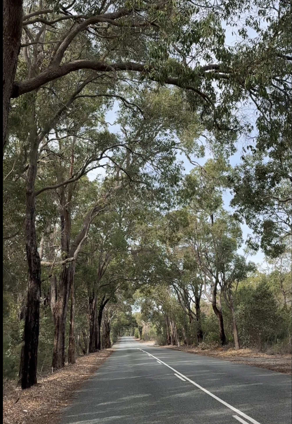 @Destination Perth