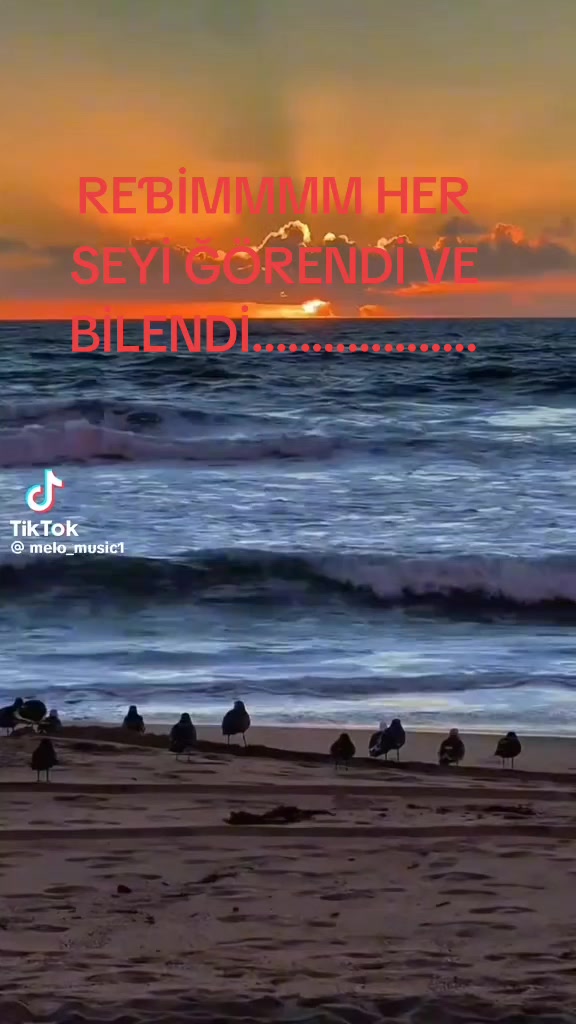 @ZEMİ