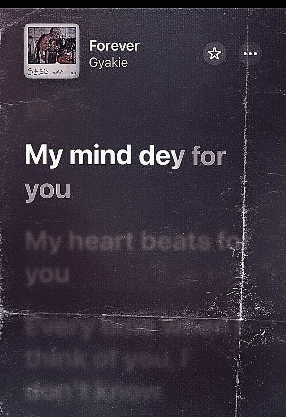 @devotion.lyrics