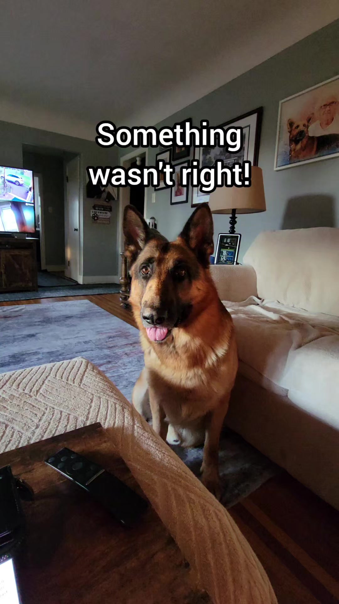 @BuddyandMikes Pal