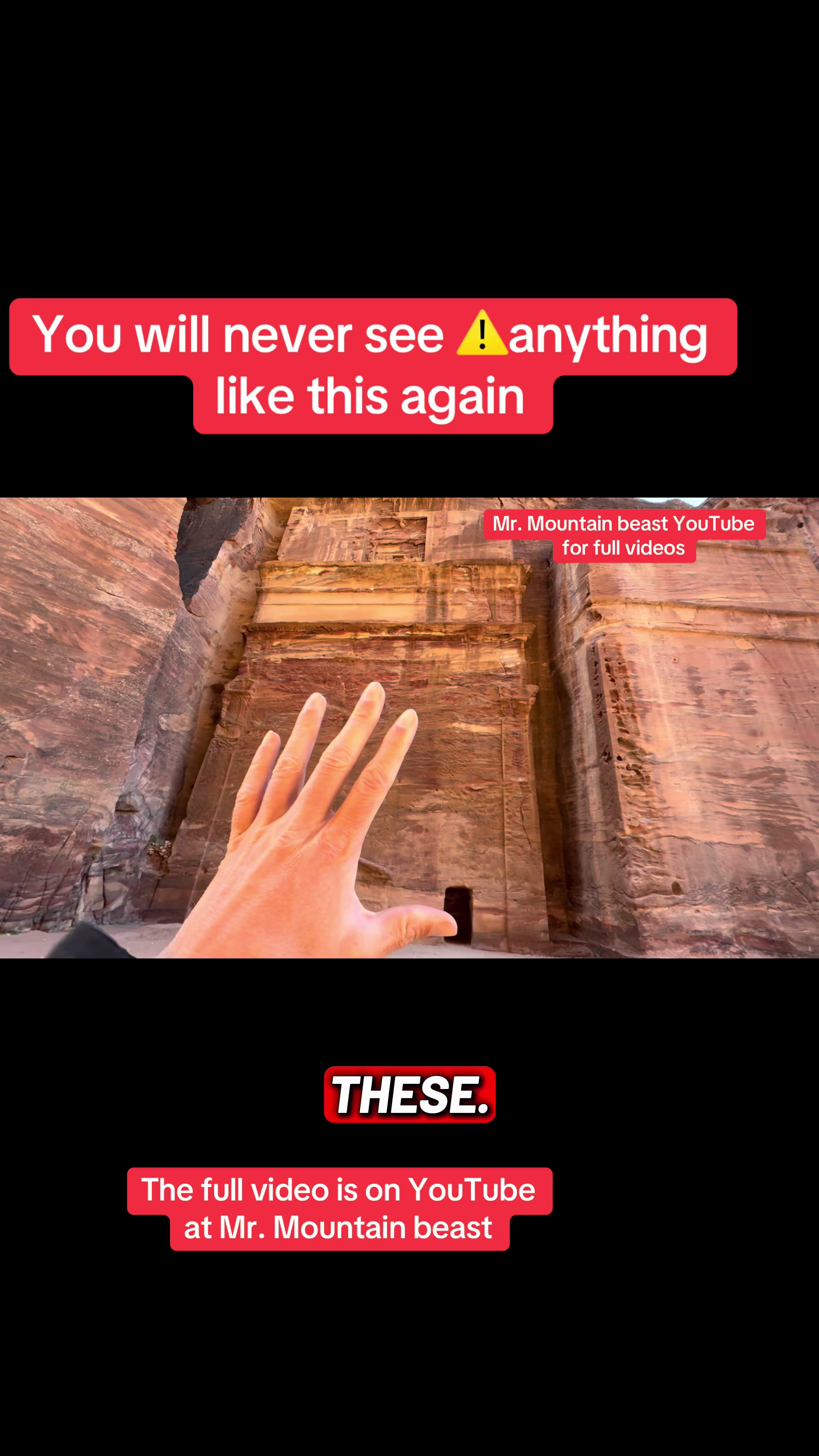 @Mr.mountainbeast