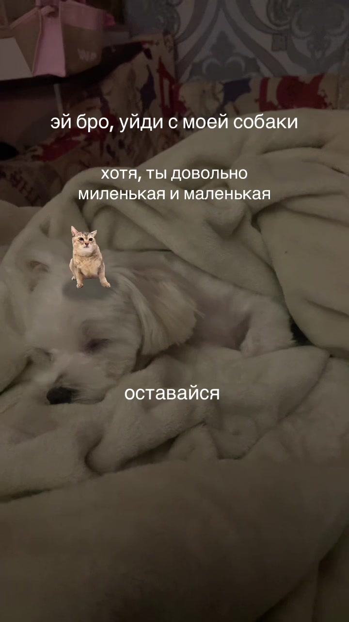 @рюша