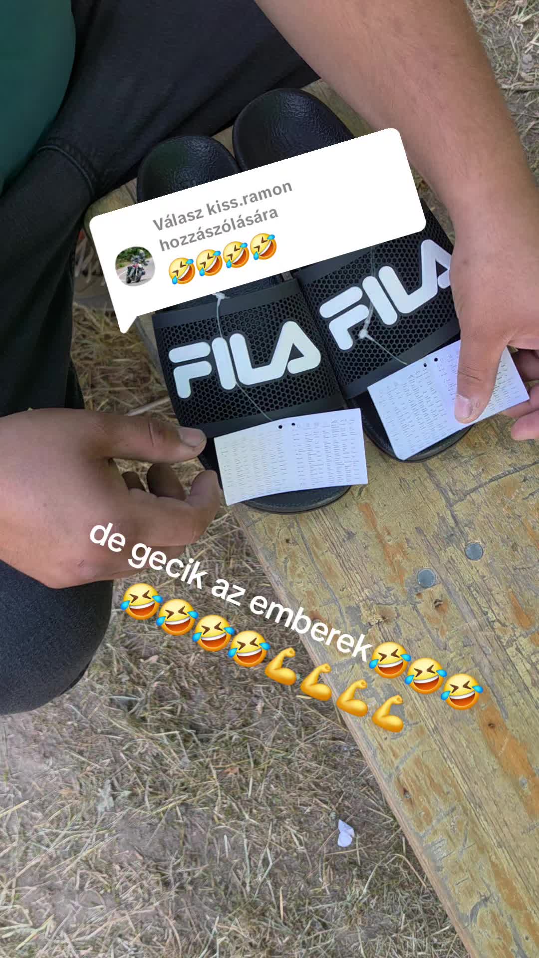 @🇭🇺Gergő László Sike🇩🇪